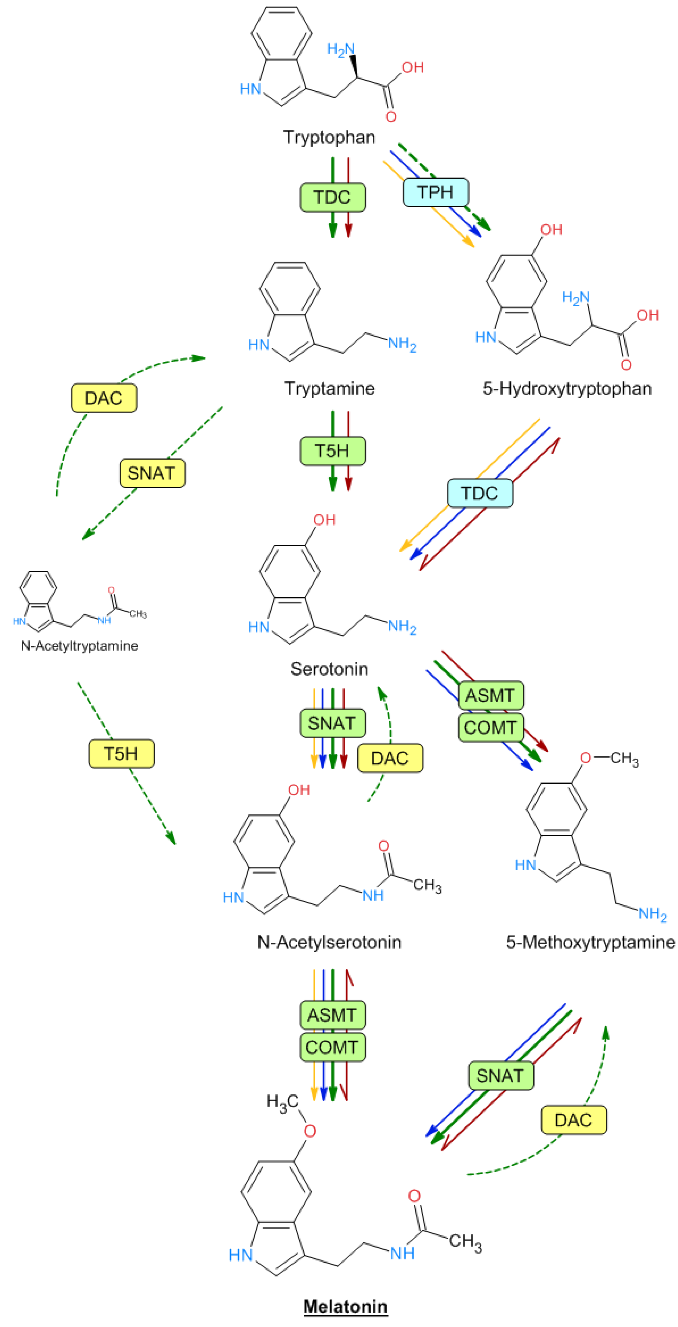 Metabolites 13 00072 g002