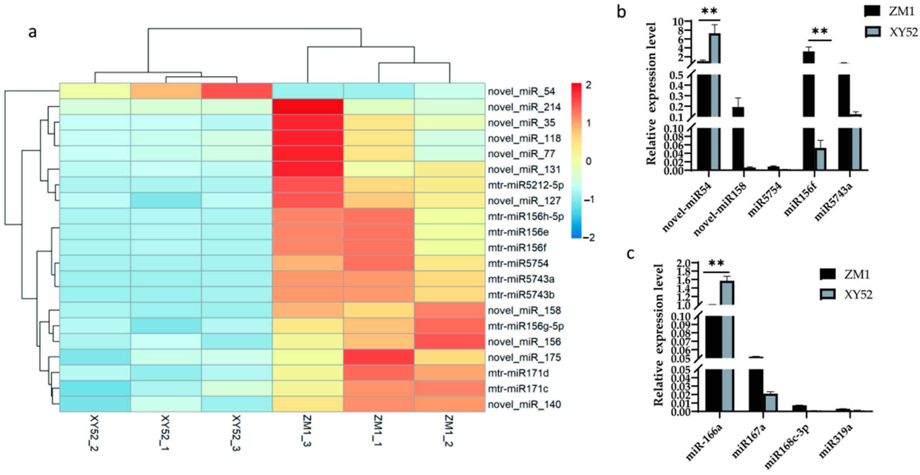 Metabolites 13 00076 g001