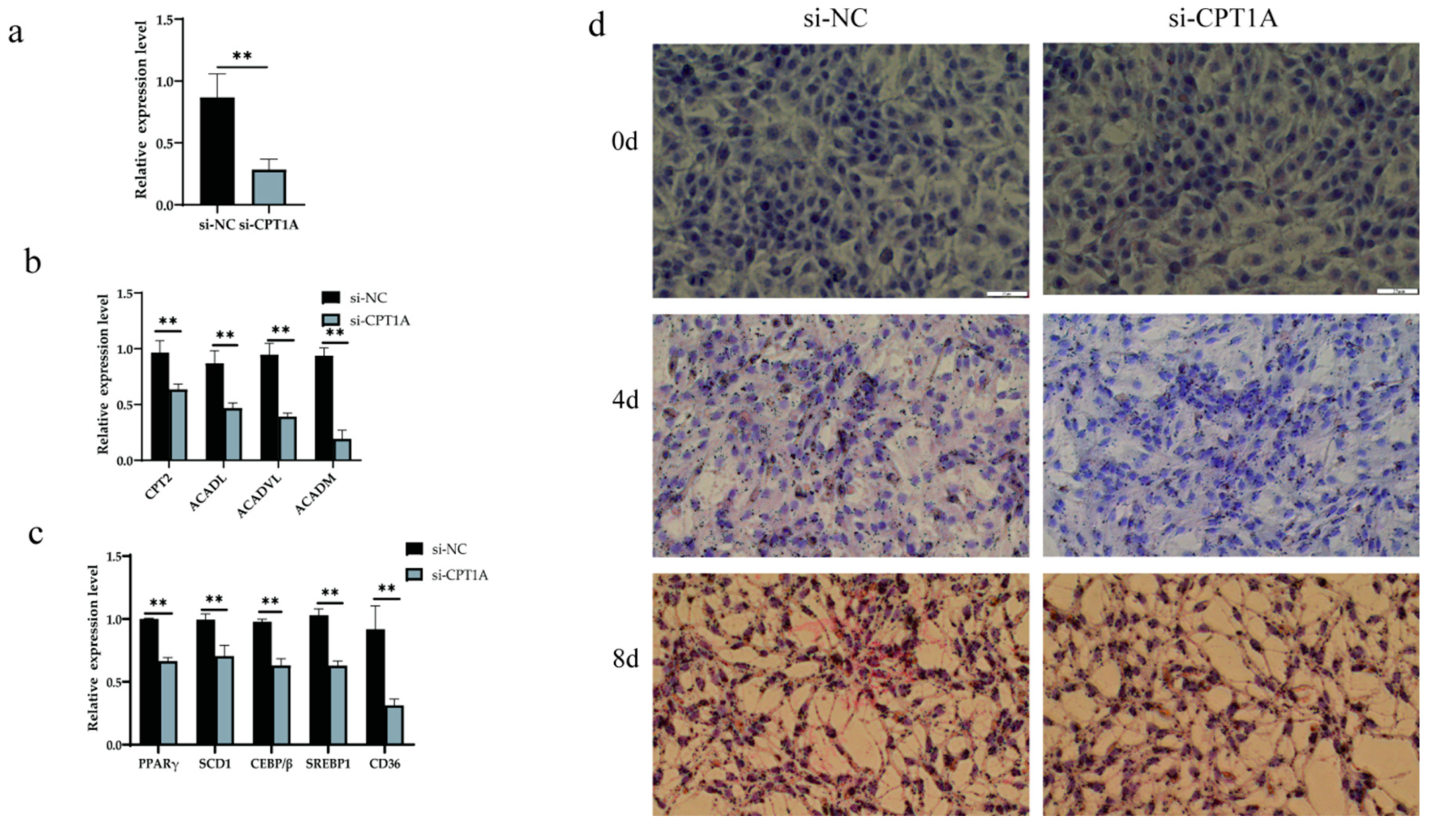 Metabolites 13 00076 g009