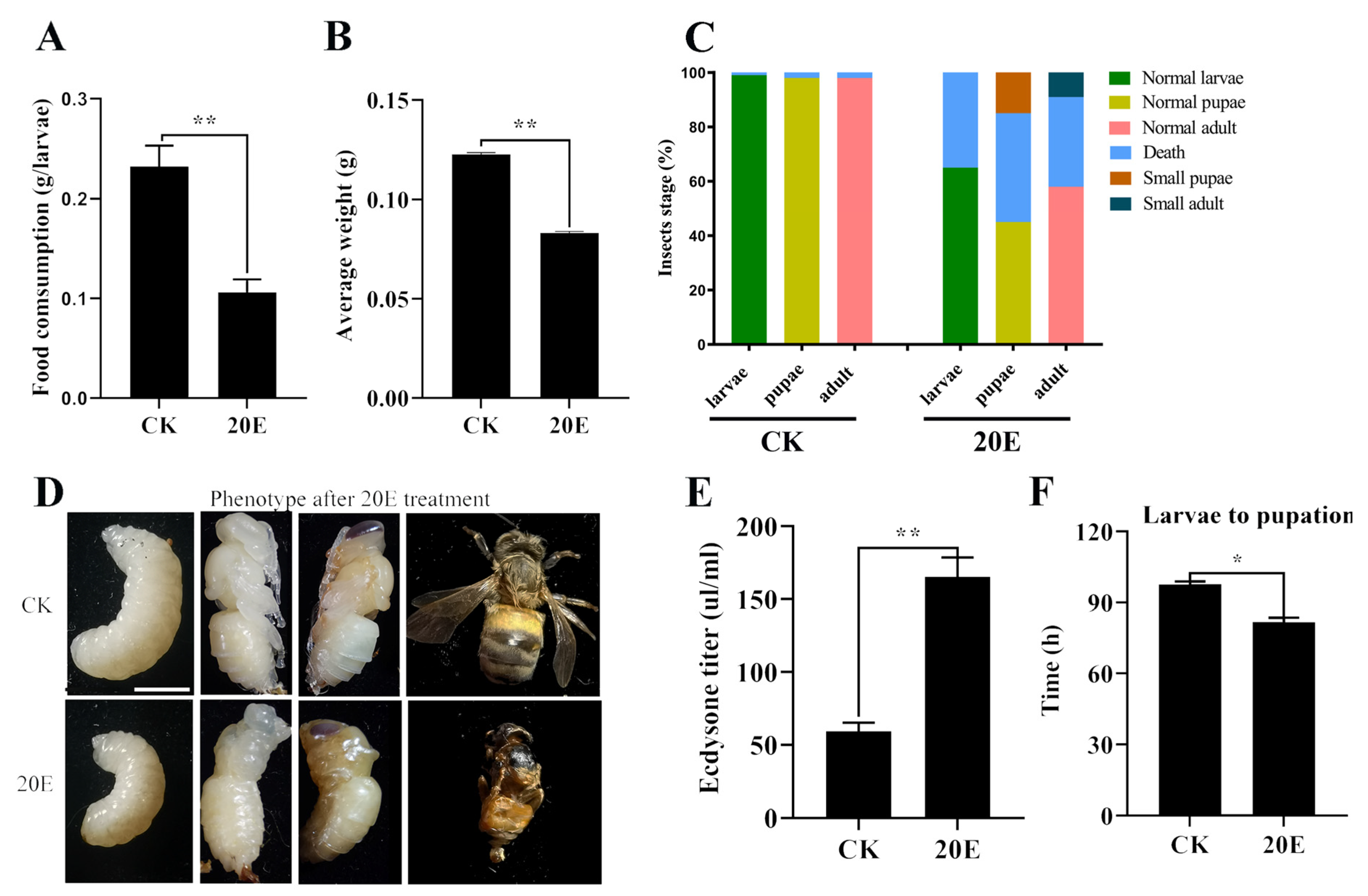 Metabolites 13 00080 g001
