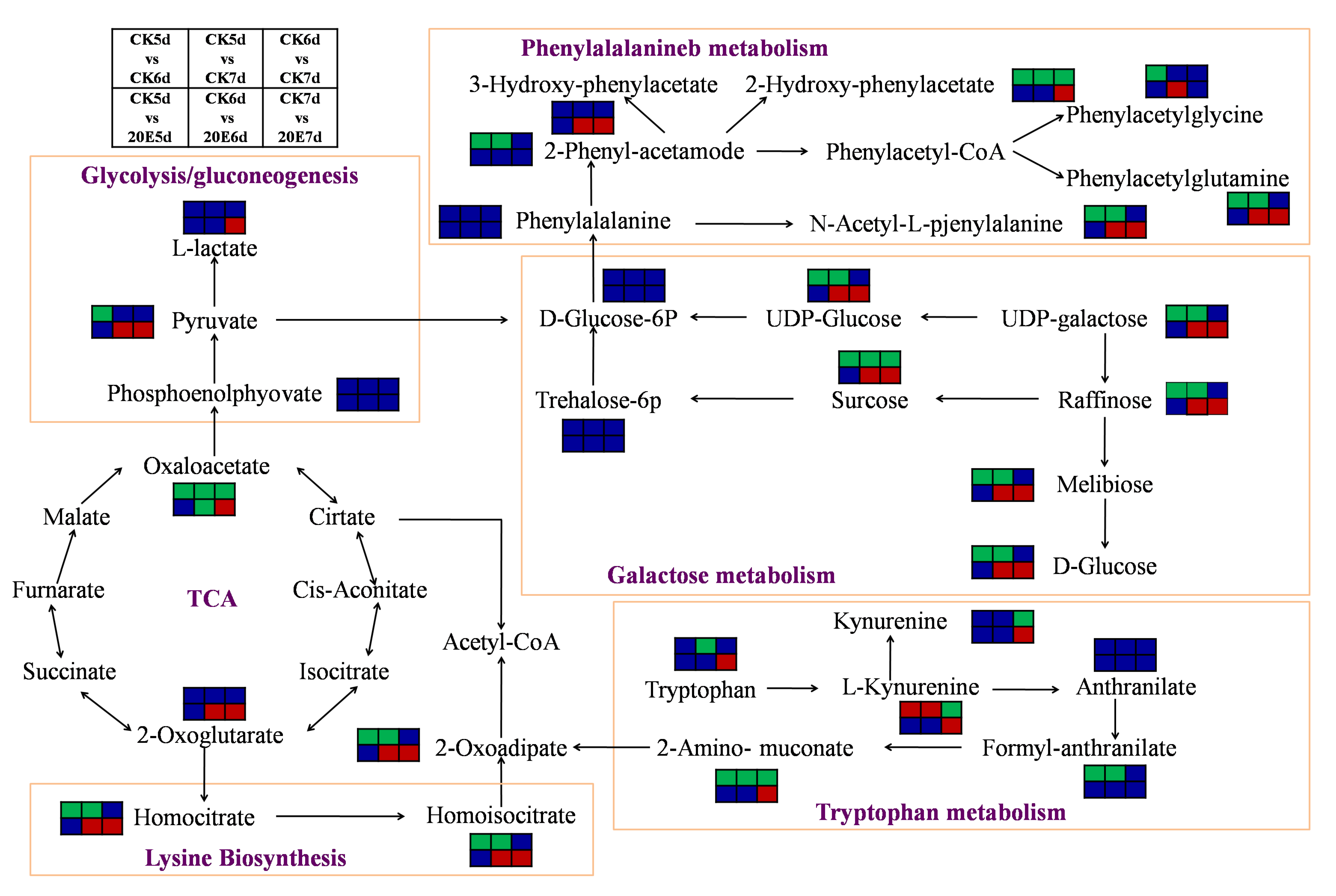 Metabolites 13 00080 g006