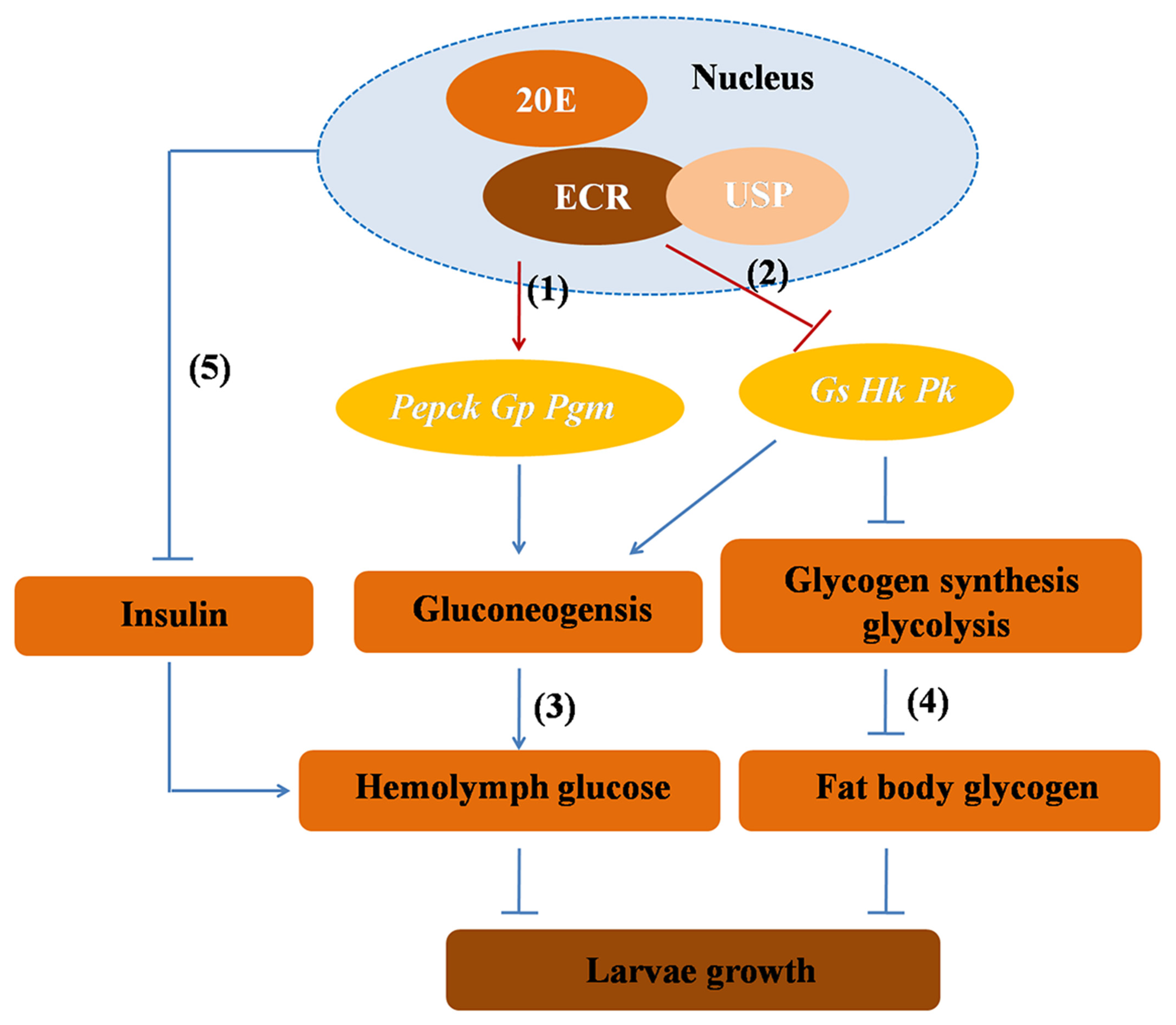 Metabolites 13 00080 g010