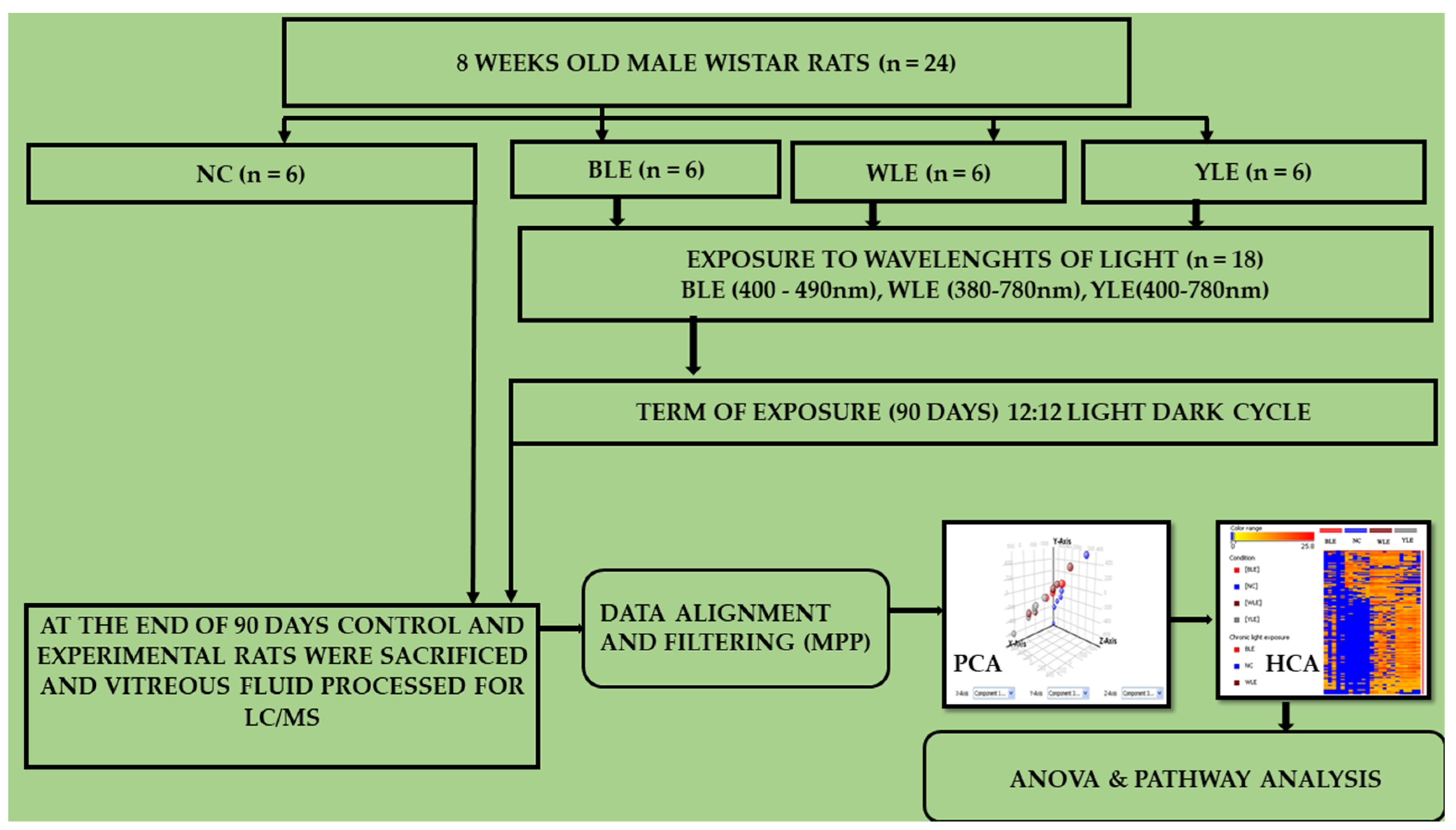 Metabolites 13 00081 g001 Metabolites 13 00081 g001