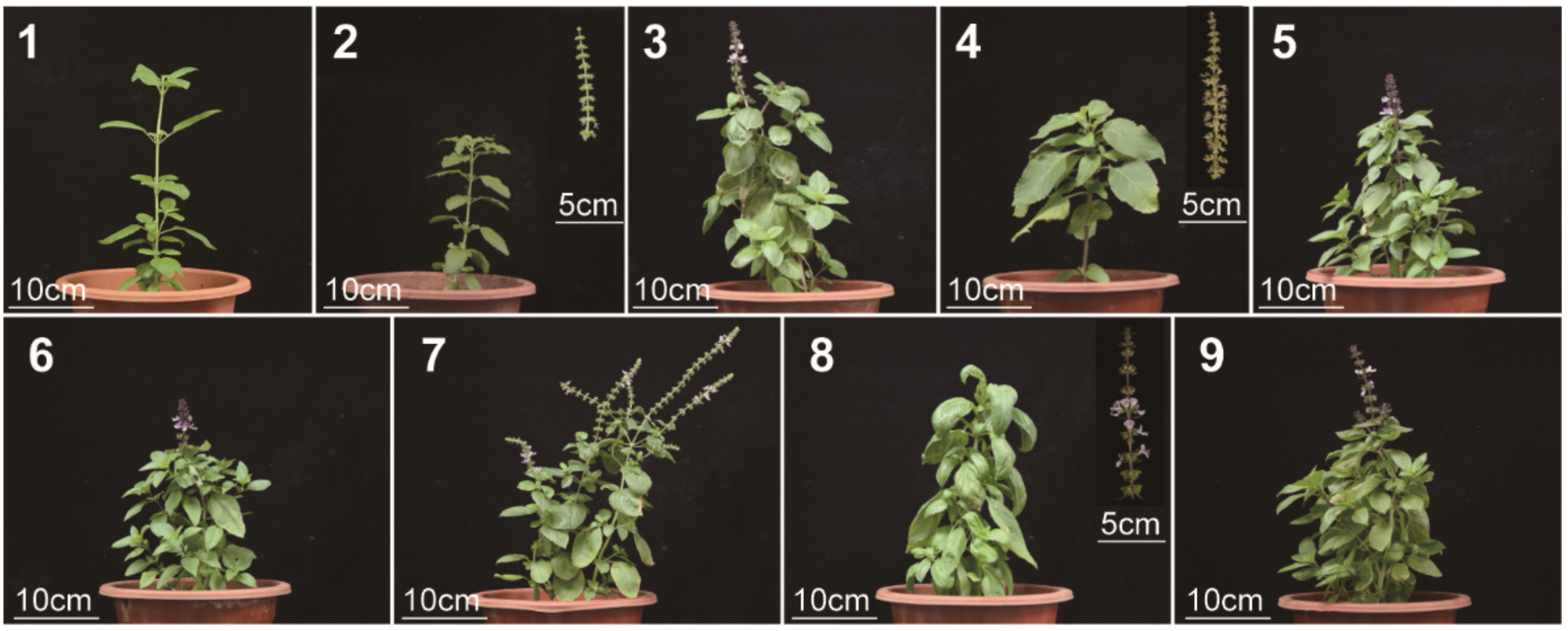 Metabolites 13 00085 g001