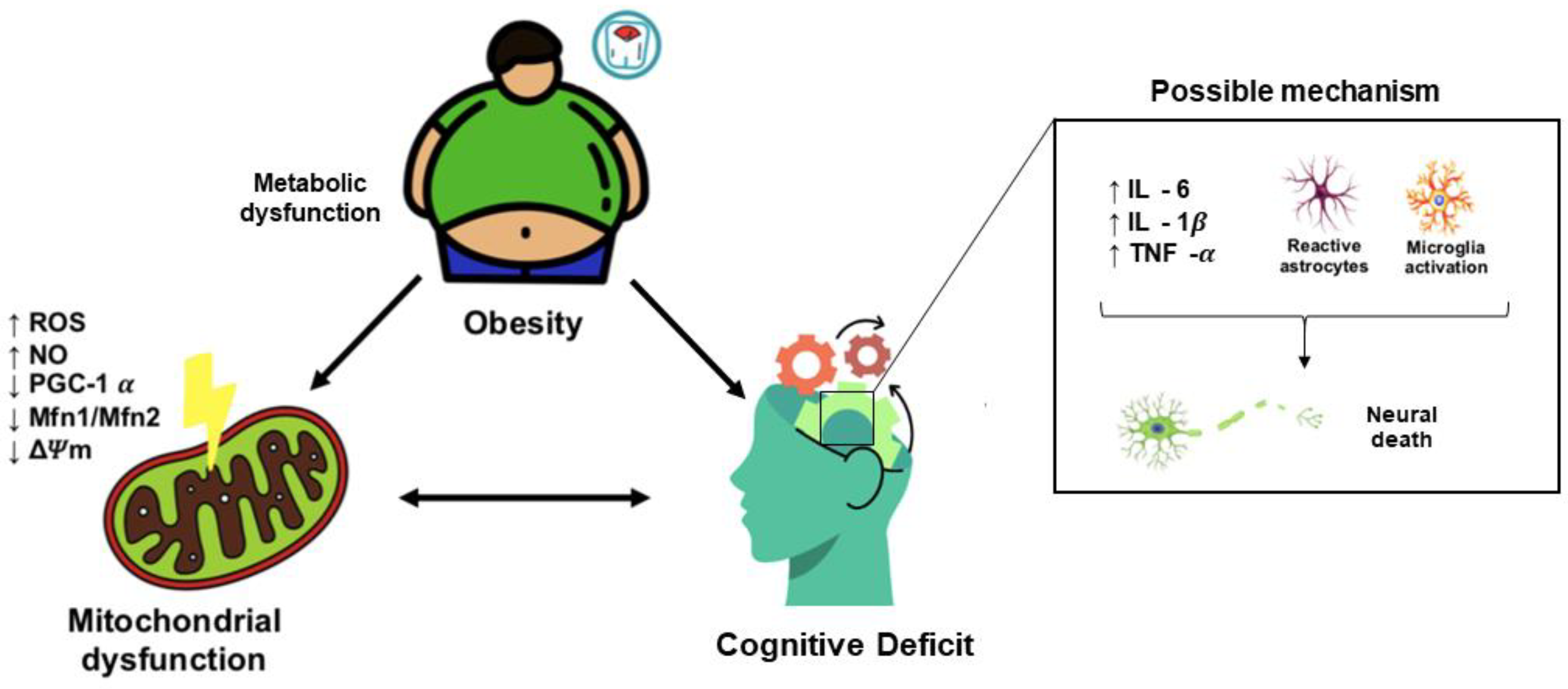 Metabolites 13 00086 g002
