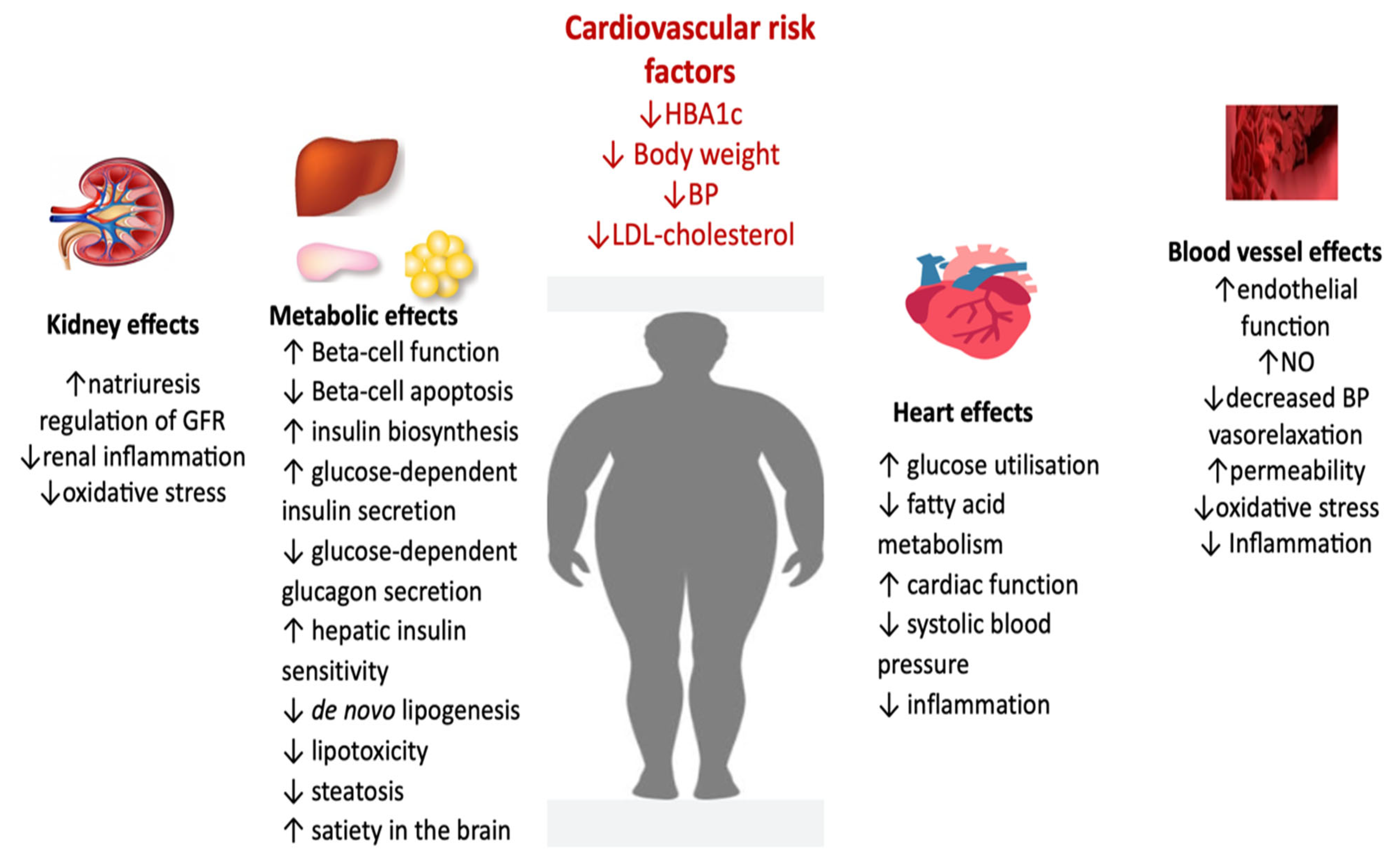 Metabolites 13 00087 g003