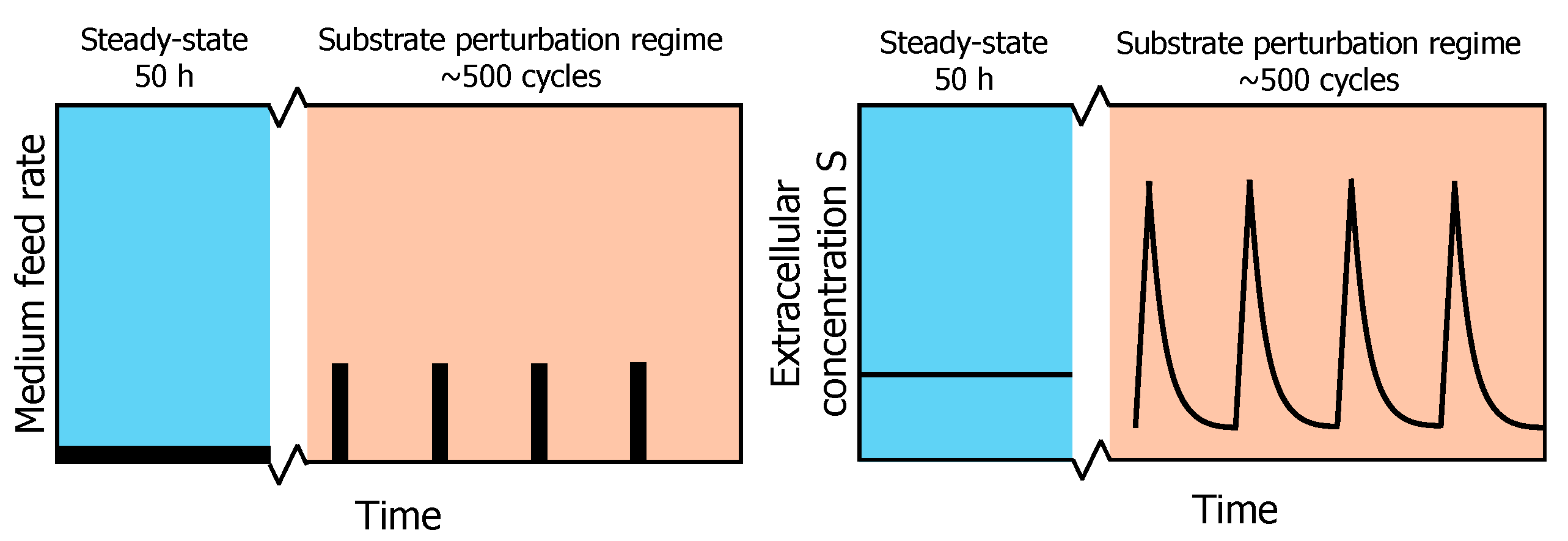 Metabolites 13 00088 g001
