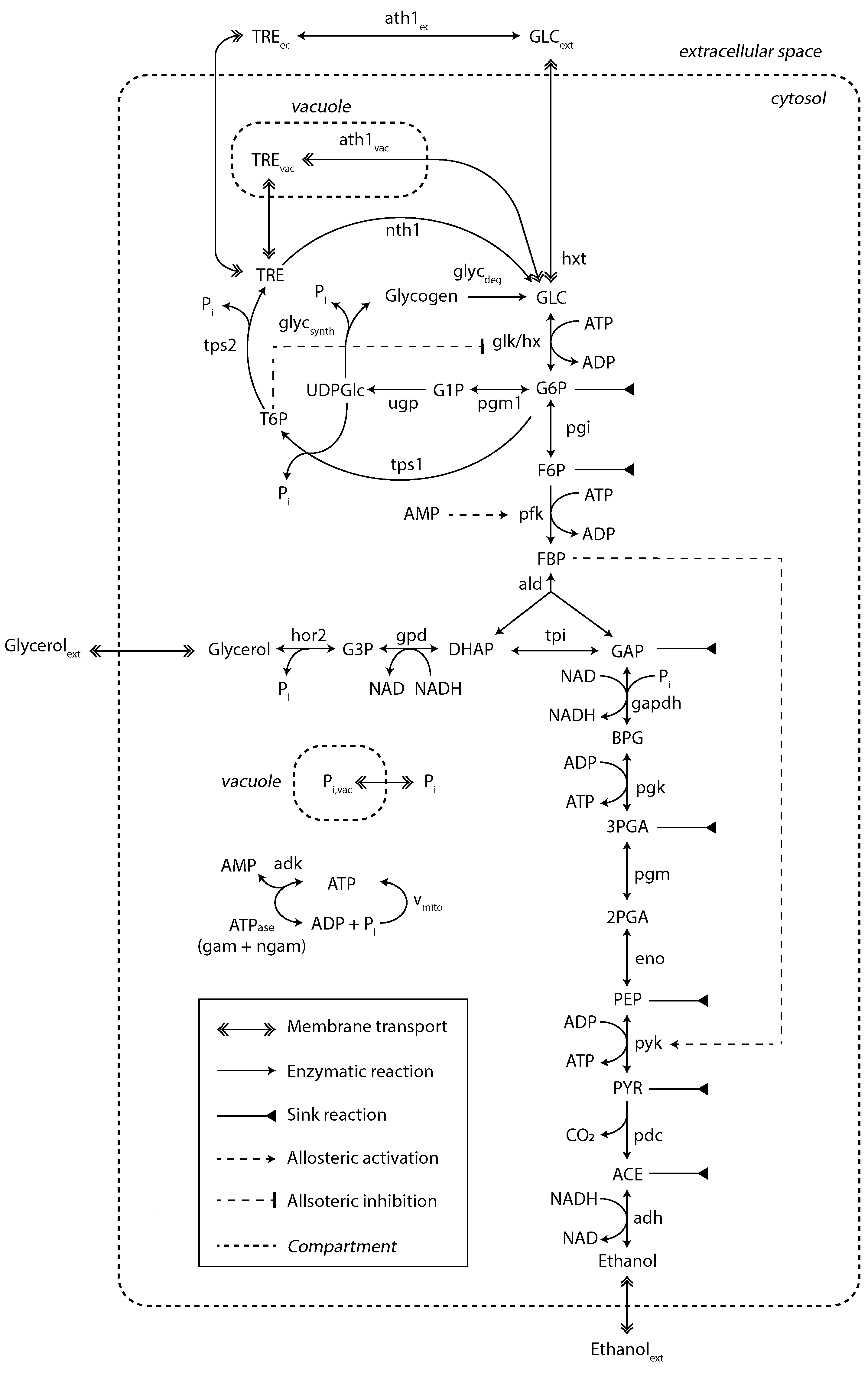 Metabolites 13 00088 g003