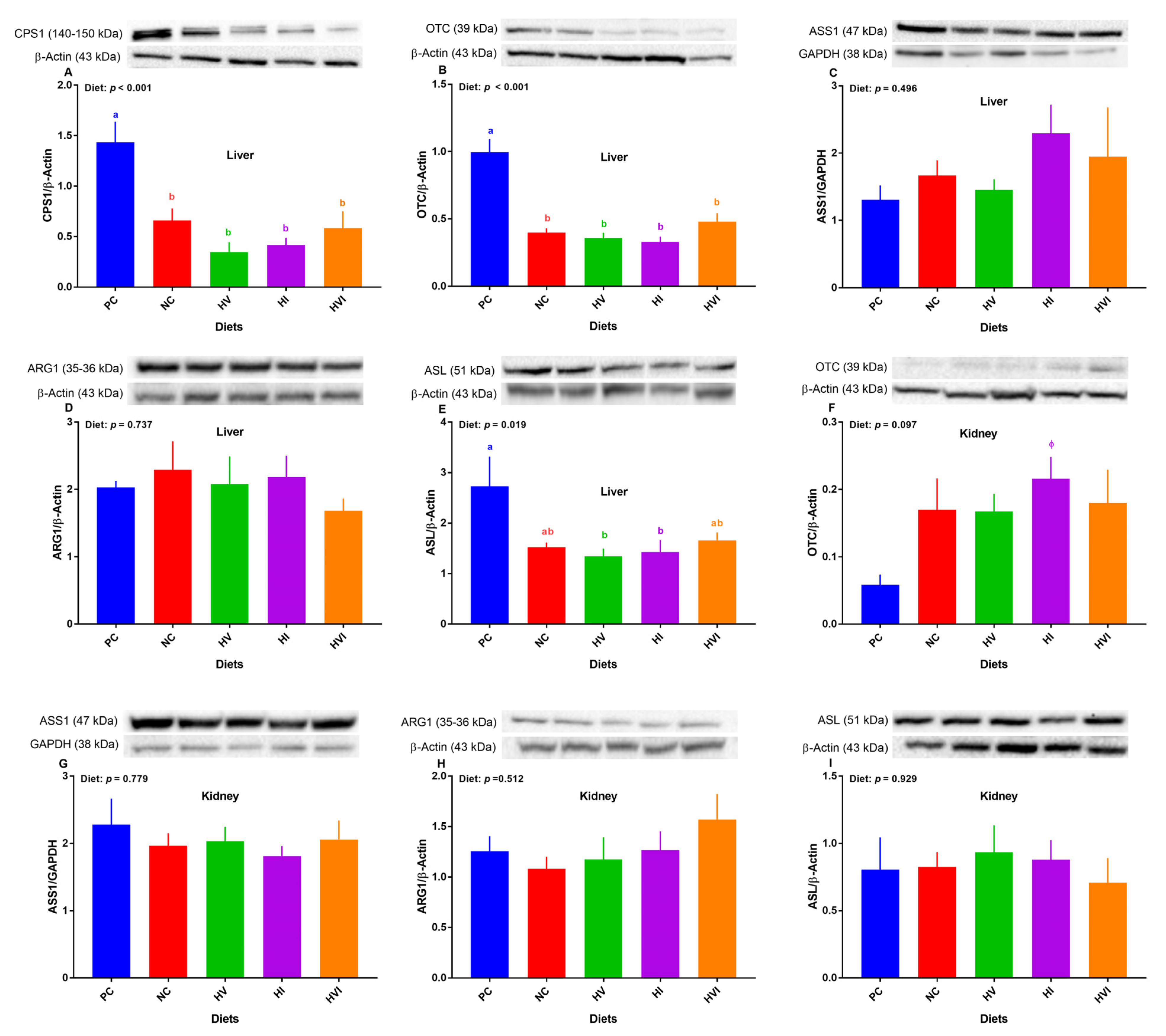 Metabolites 13 00089 g005