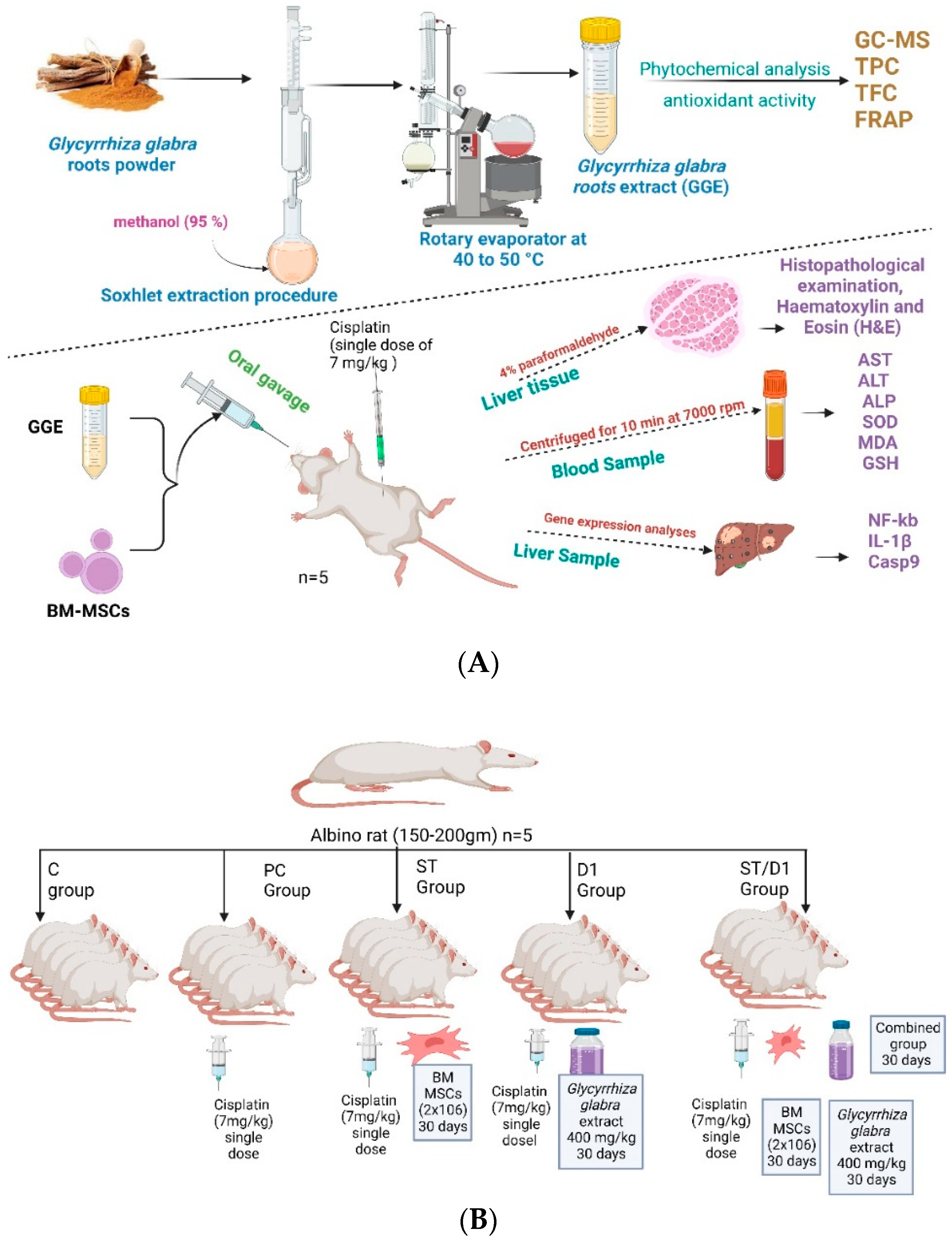 Metabolites 13 00094 g001