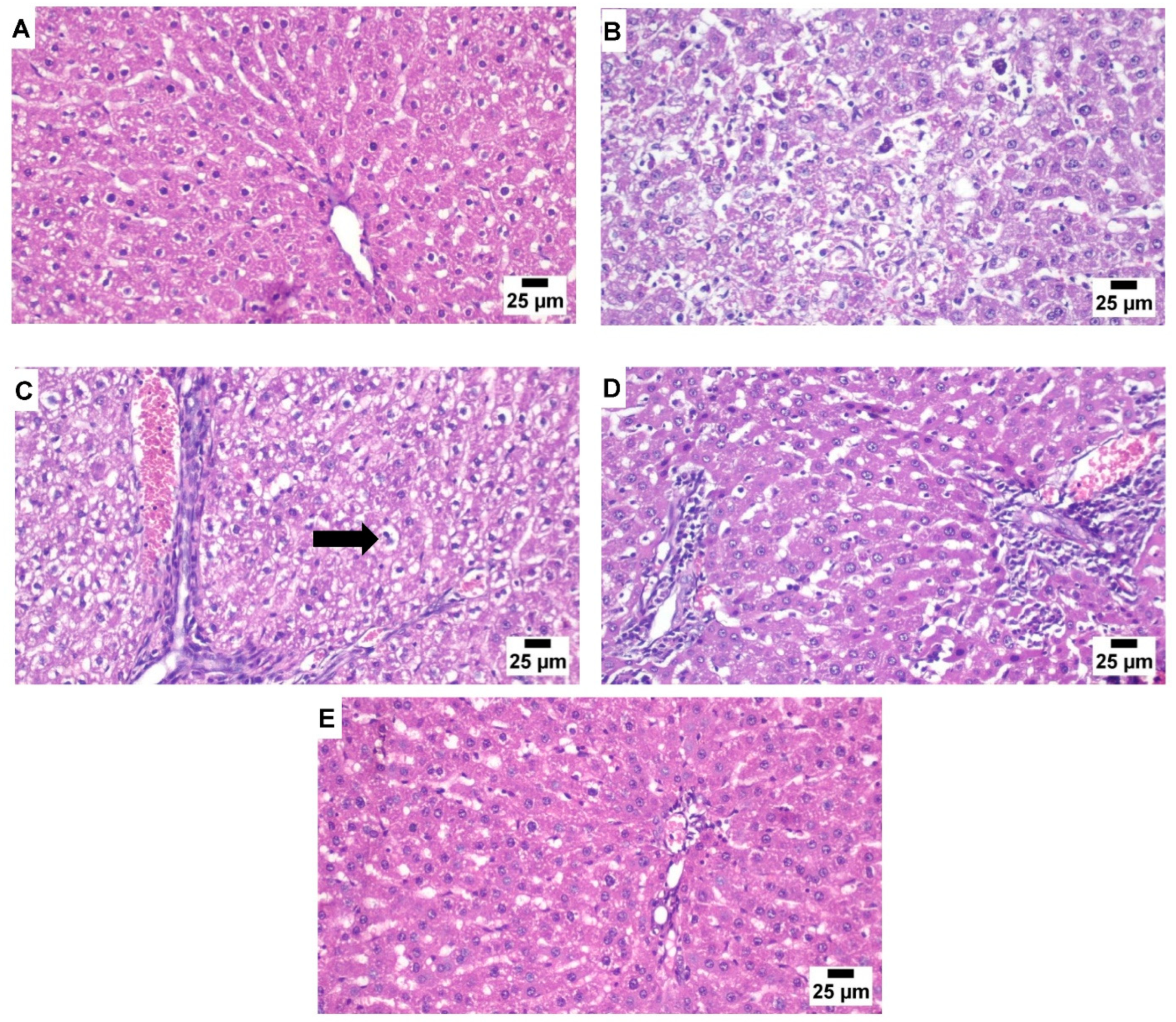 Metabolites 13 00094 g004