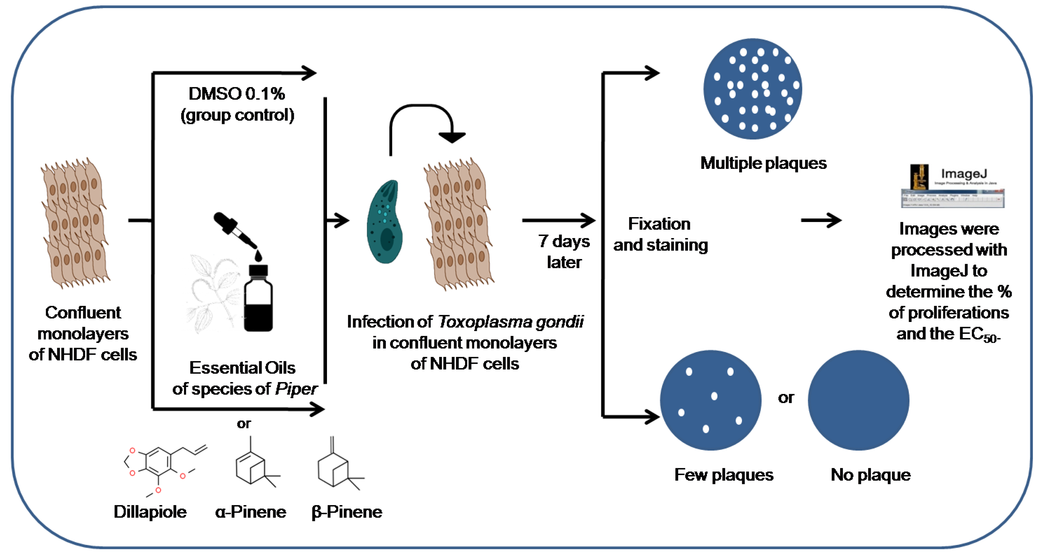 Metabolites 13 00095 g001