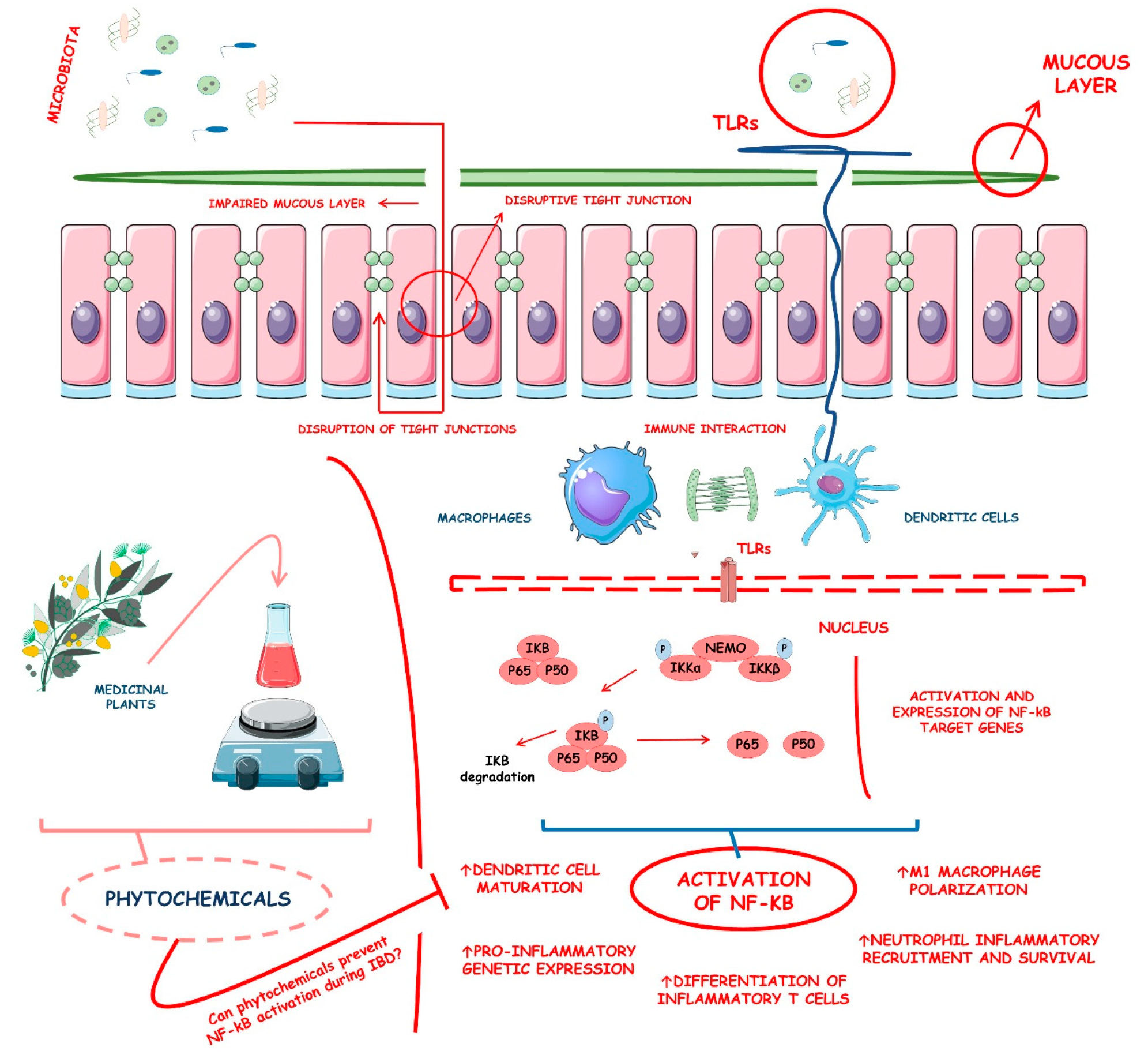 Metabolites 13 00096 g001 Metabolites 13 00096 g001