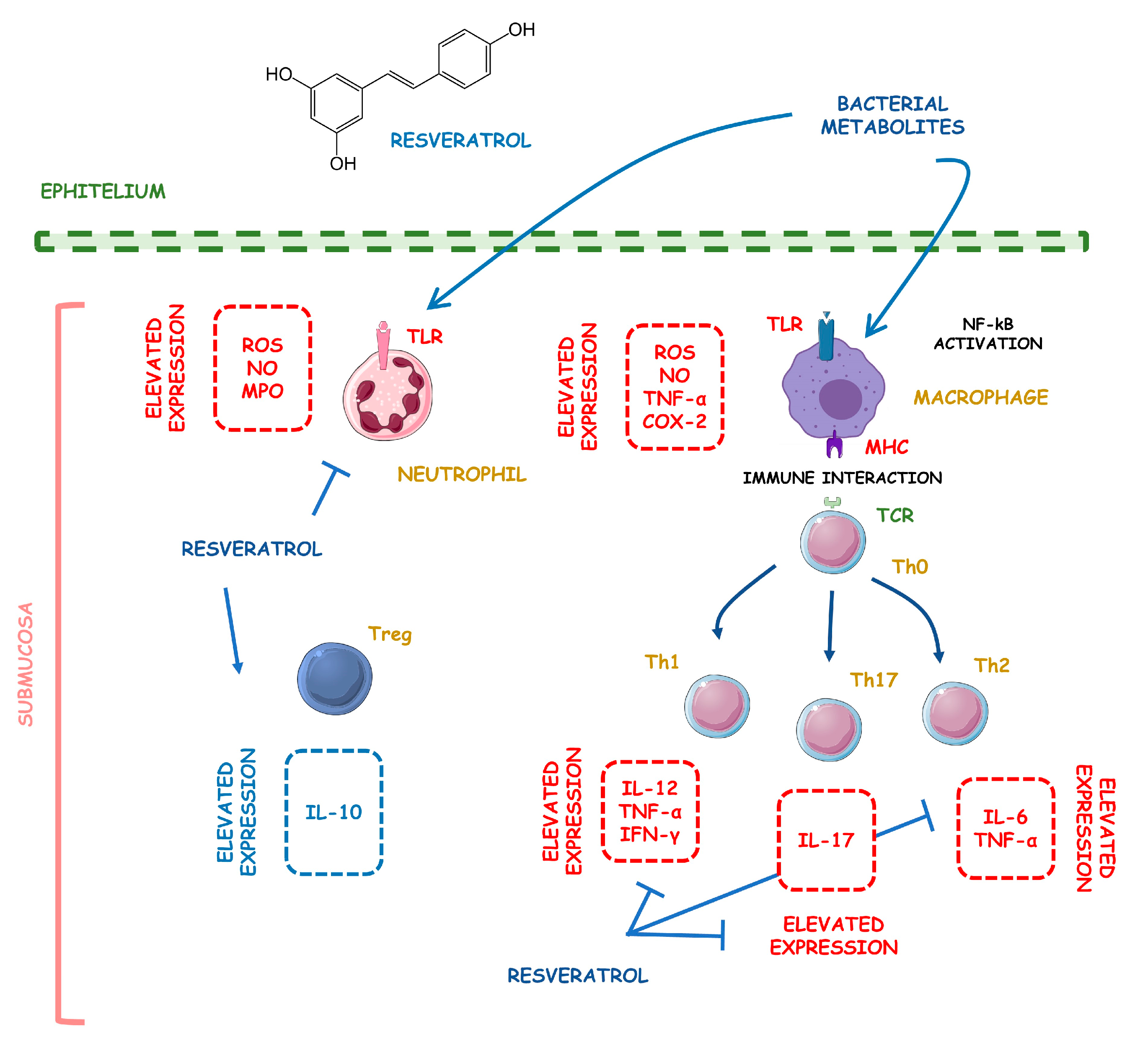 Metabolites 13 00096 g003 Metabolites 13 00096 g003