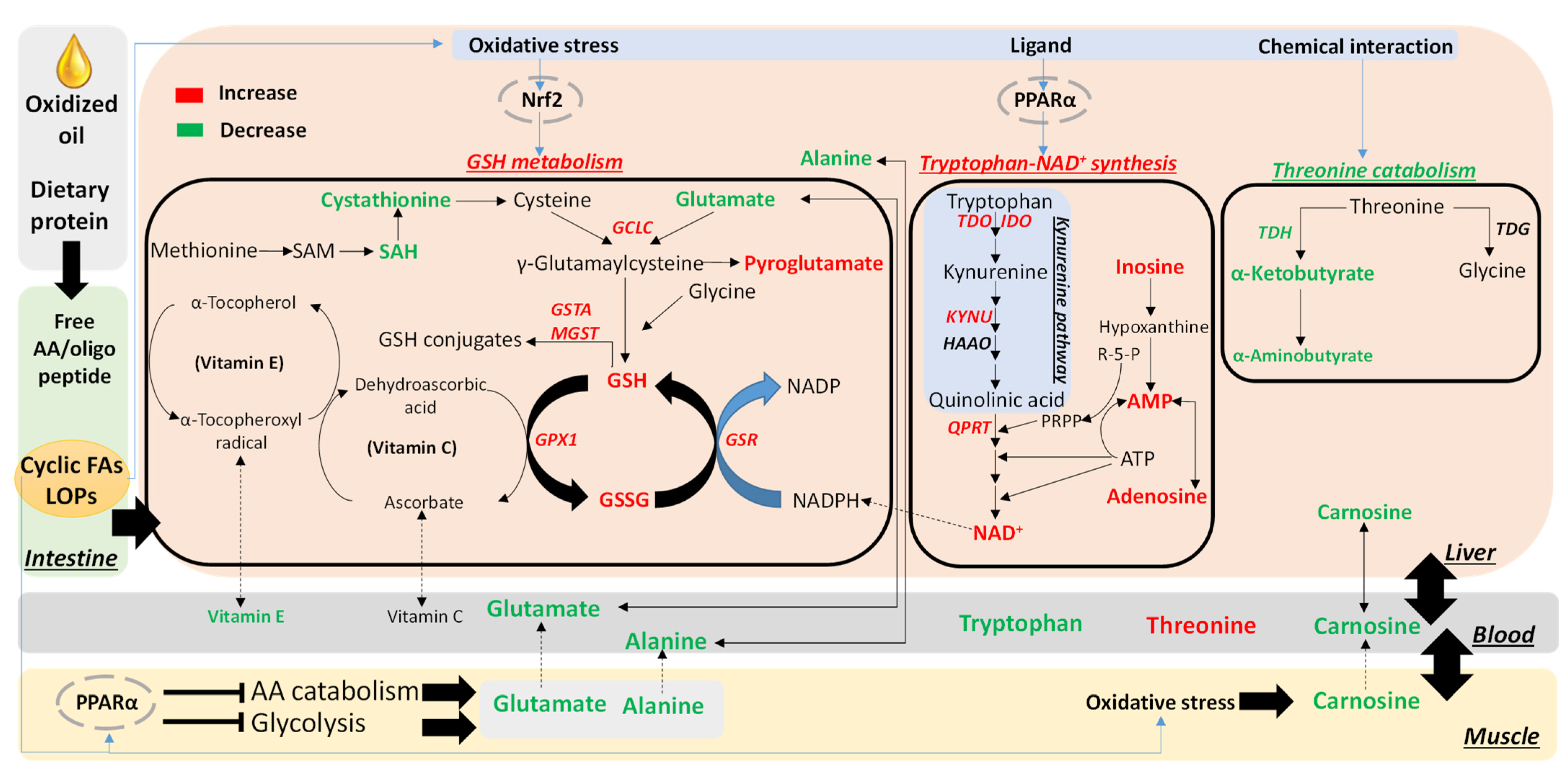 Metabolites 13 00103 g007