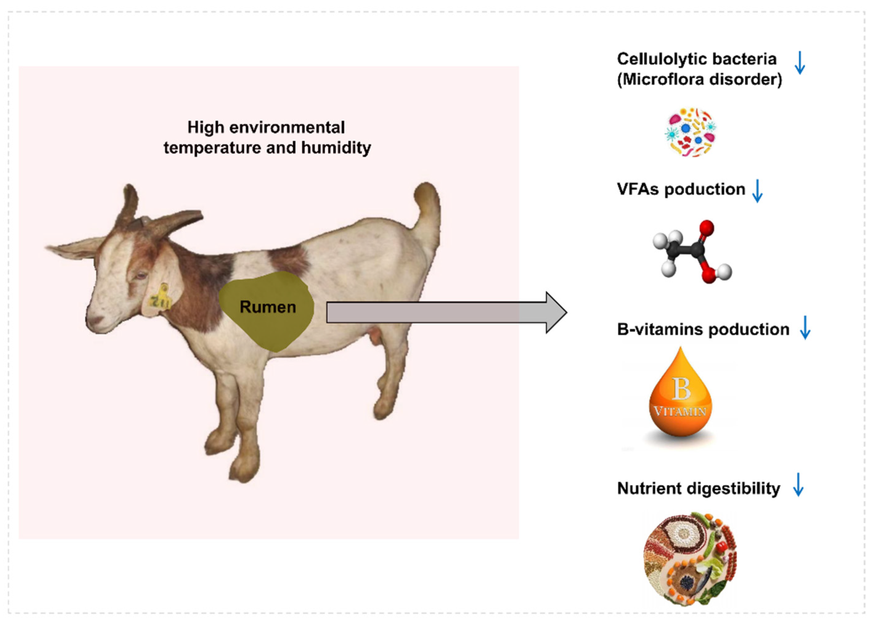 Metabolites 13 00104 g001