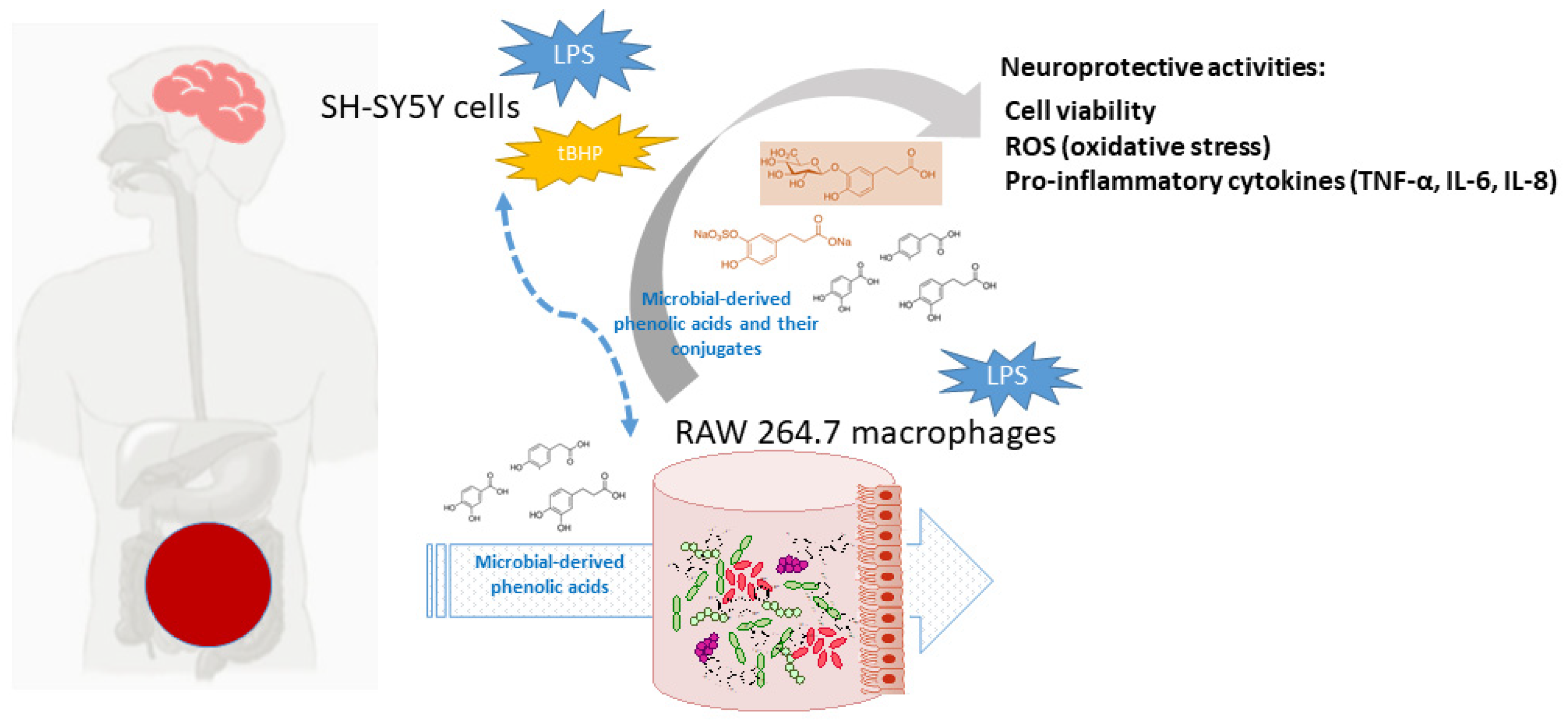 Metabolites 13 00108 g001