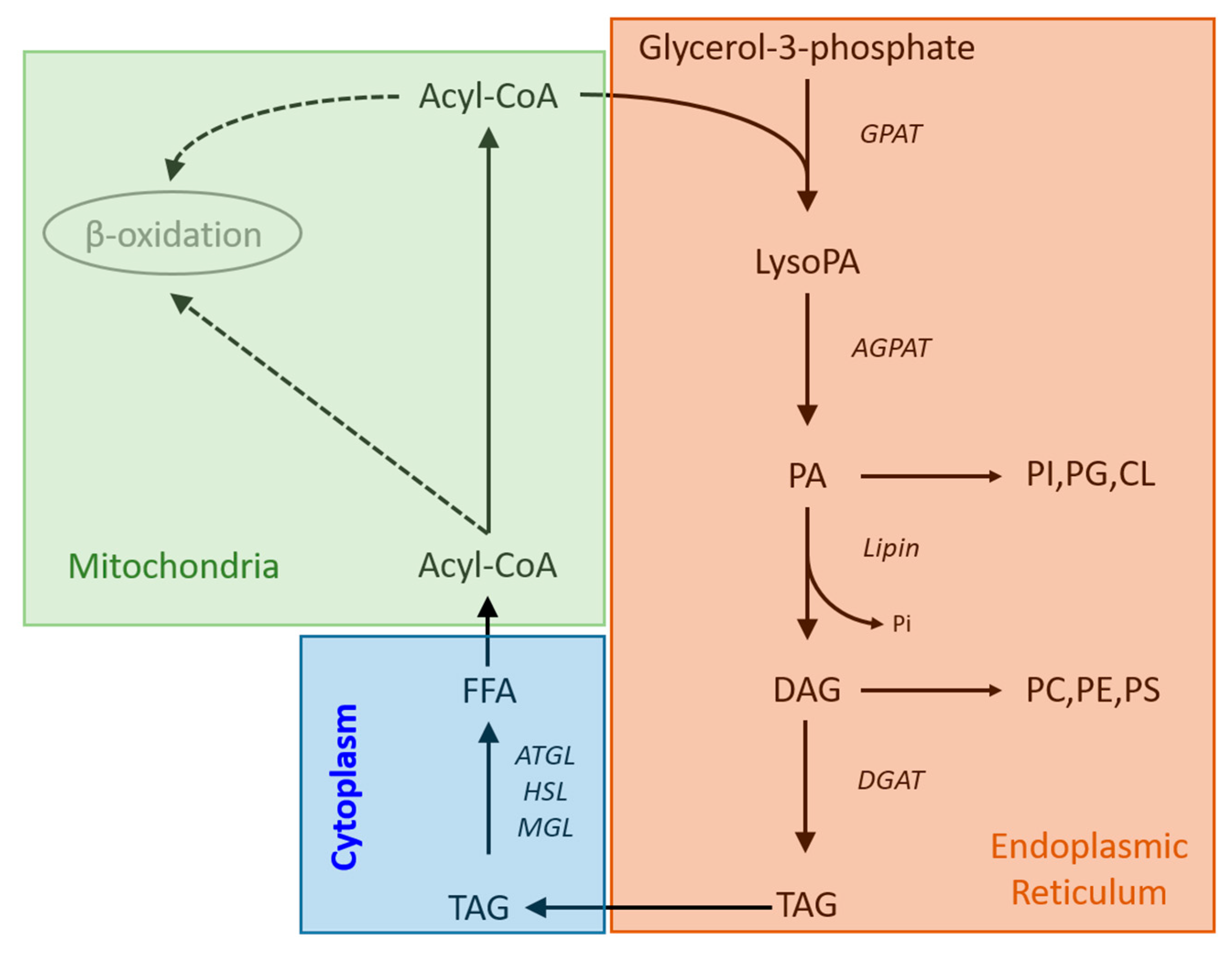 Metabolites 13 00112 g003