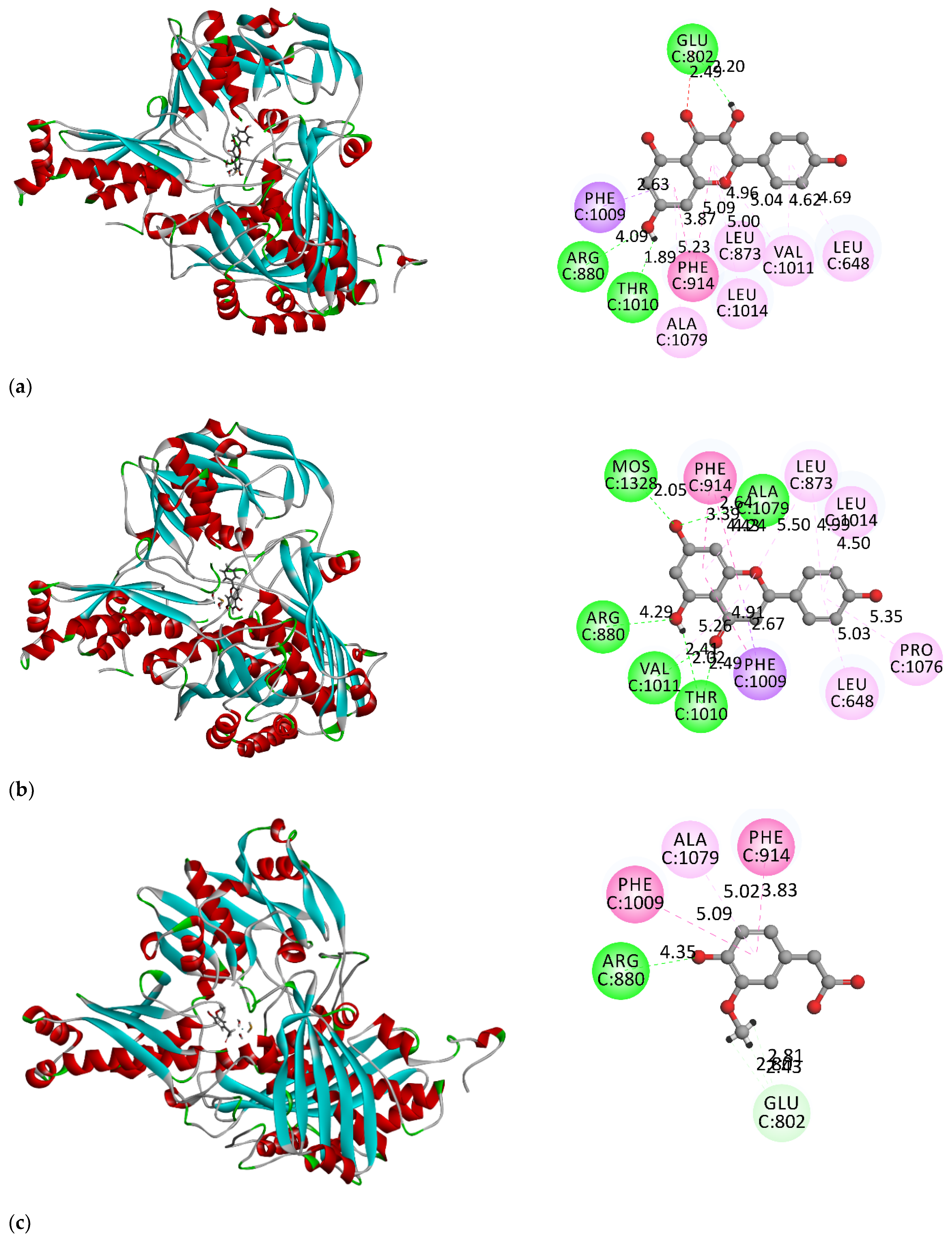 Metabolites 13 00113 g002a