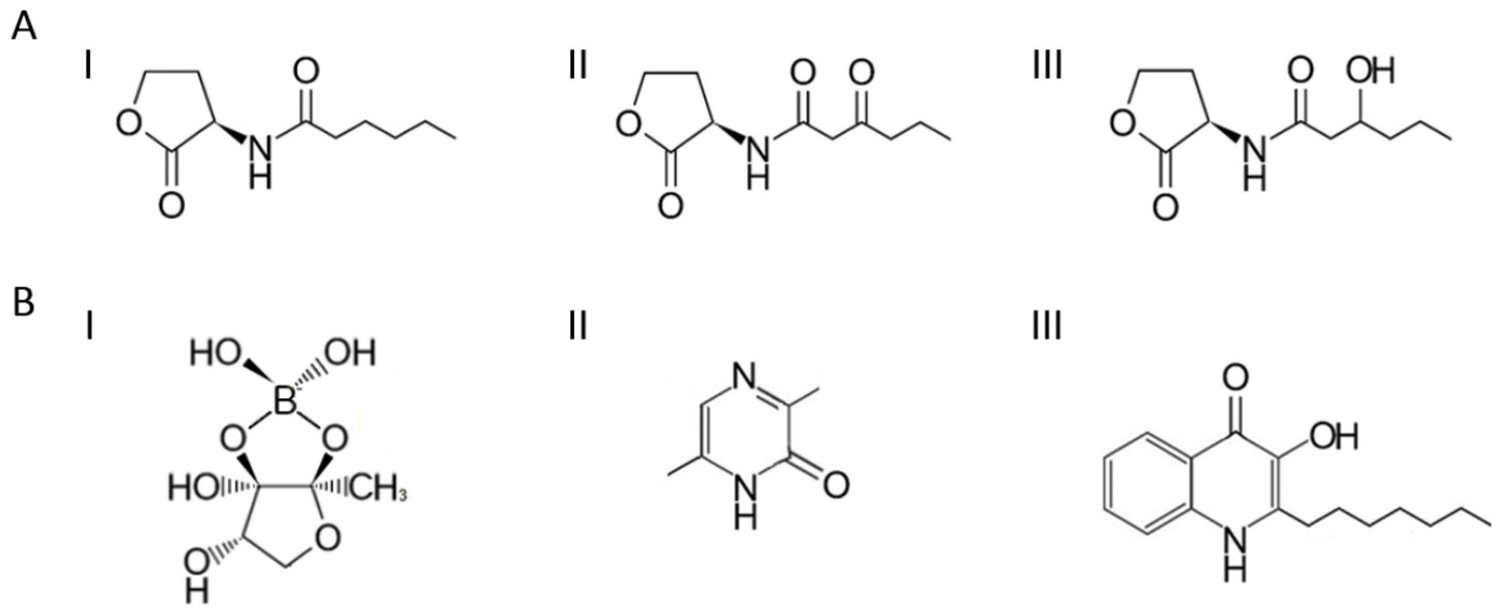 Metabolites 13 00114 g001