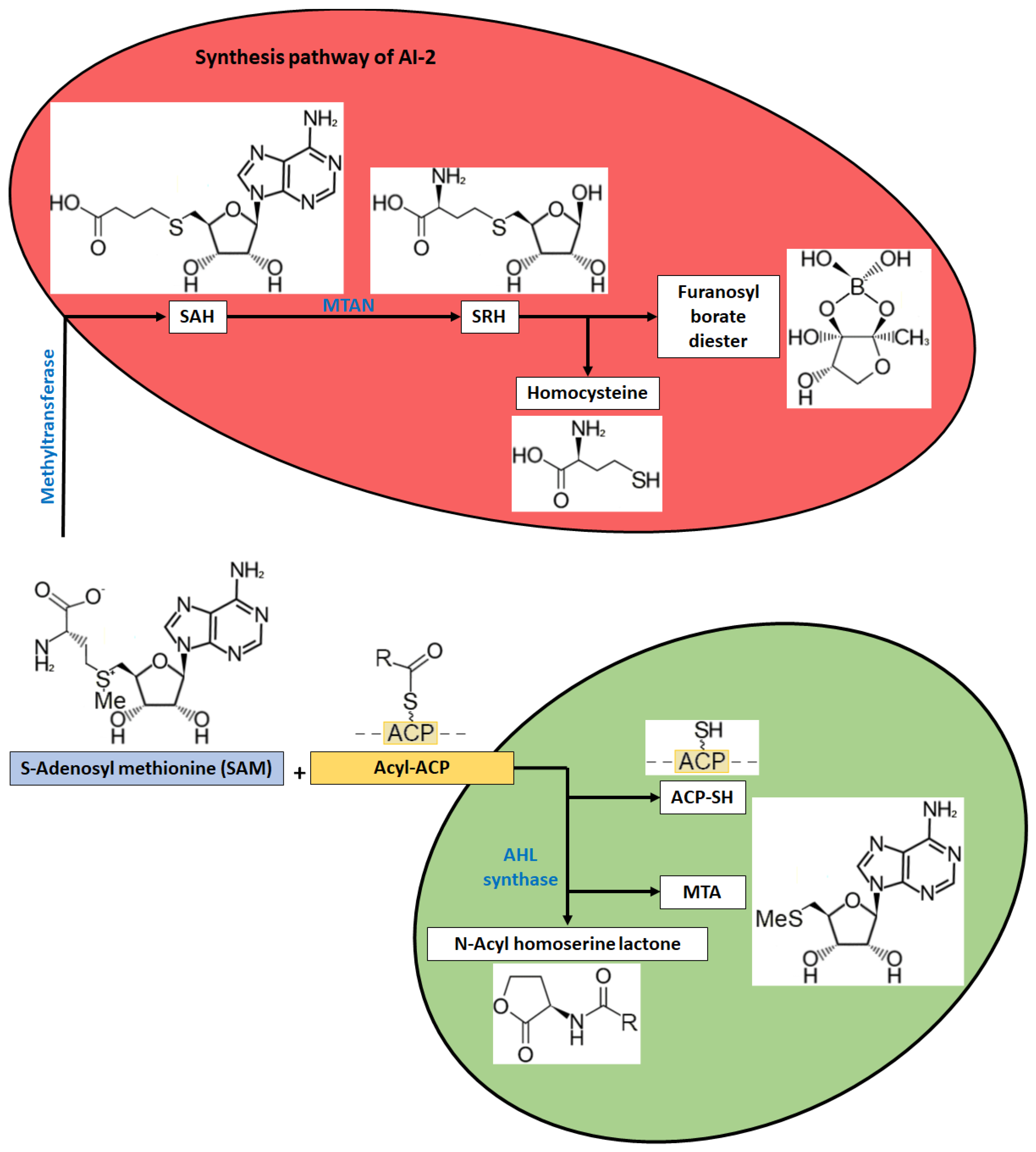 Metabolites 13 00114 g002