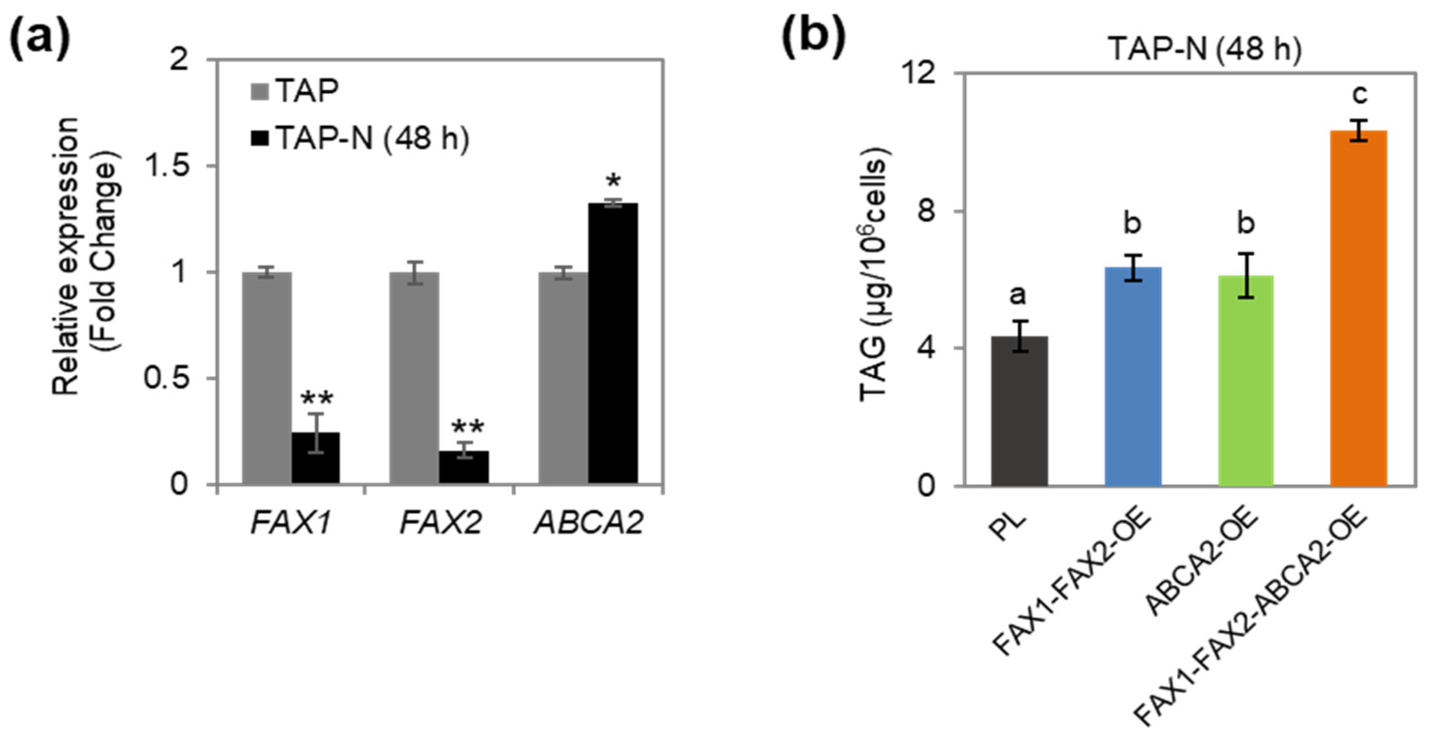Metabolites 13 00115 g001
