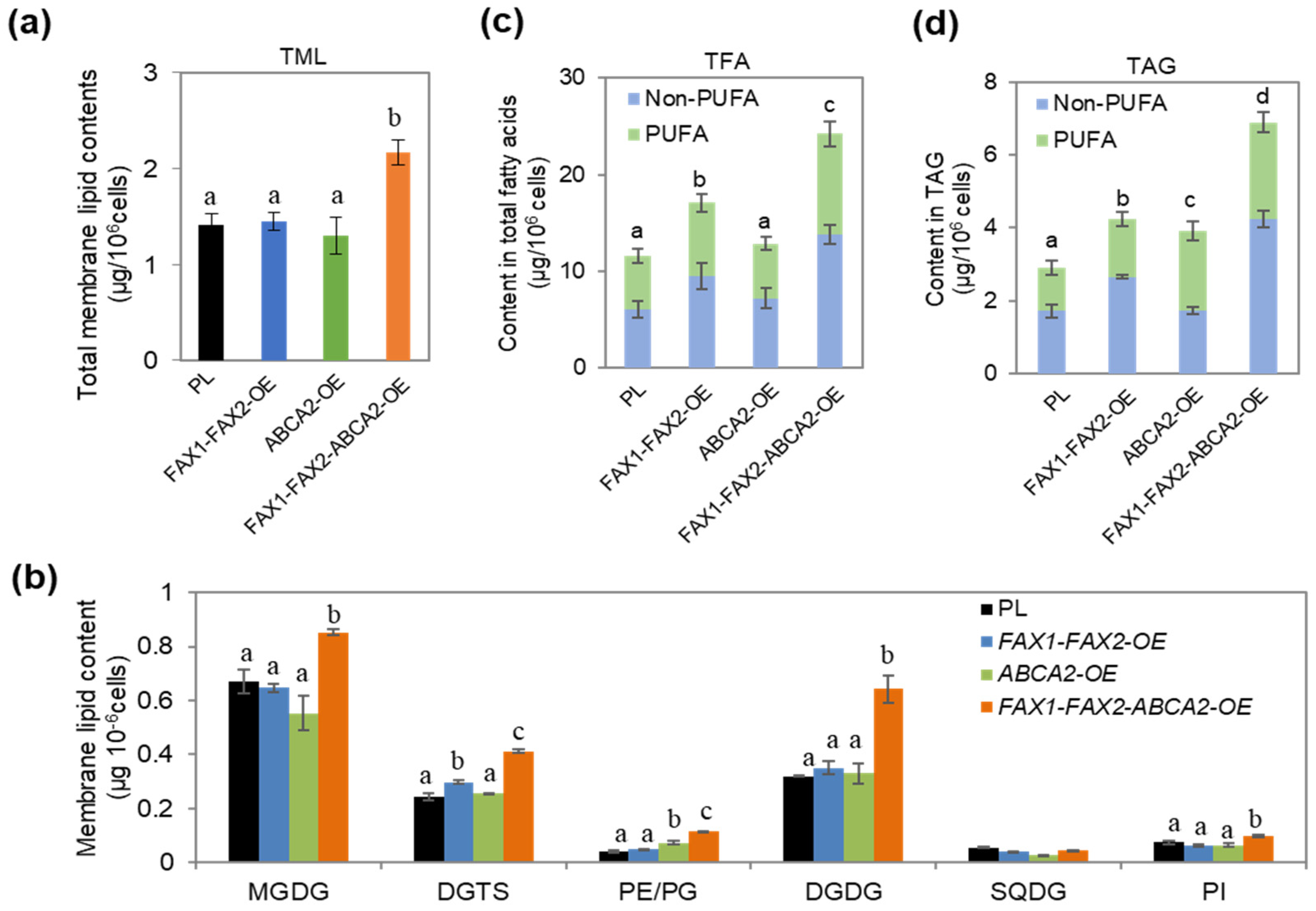 Metabolites 13 00115 g002