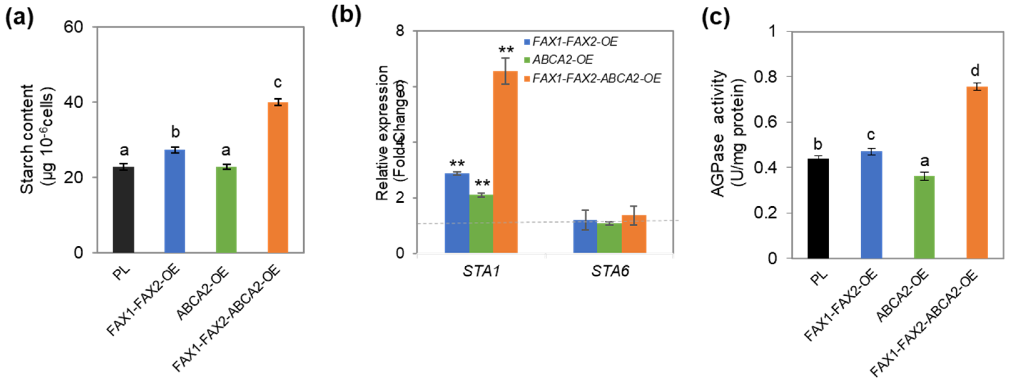 Metabolites 13 00115 g004