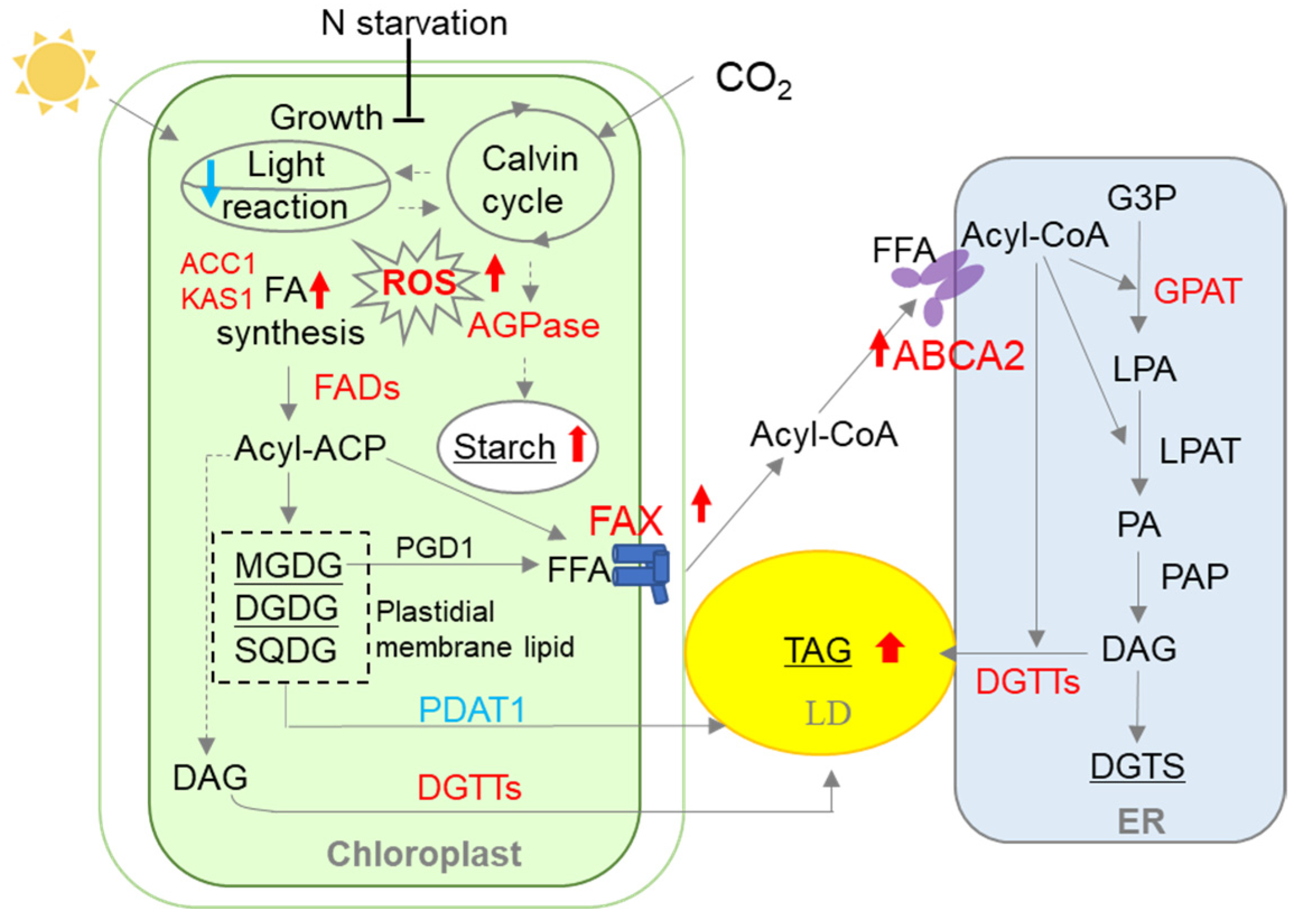 Metabolites 13 00115 g006