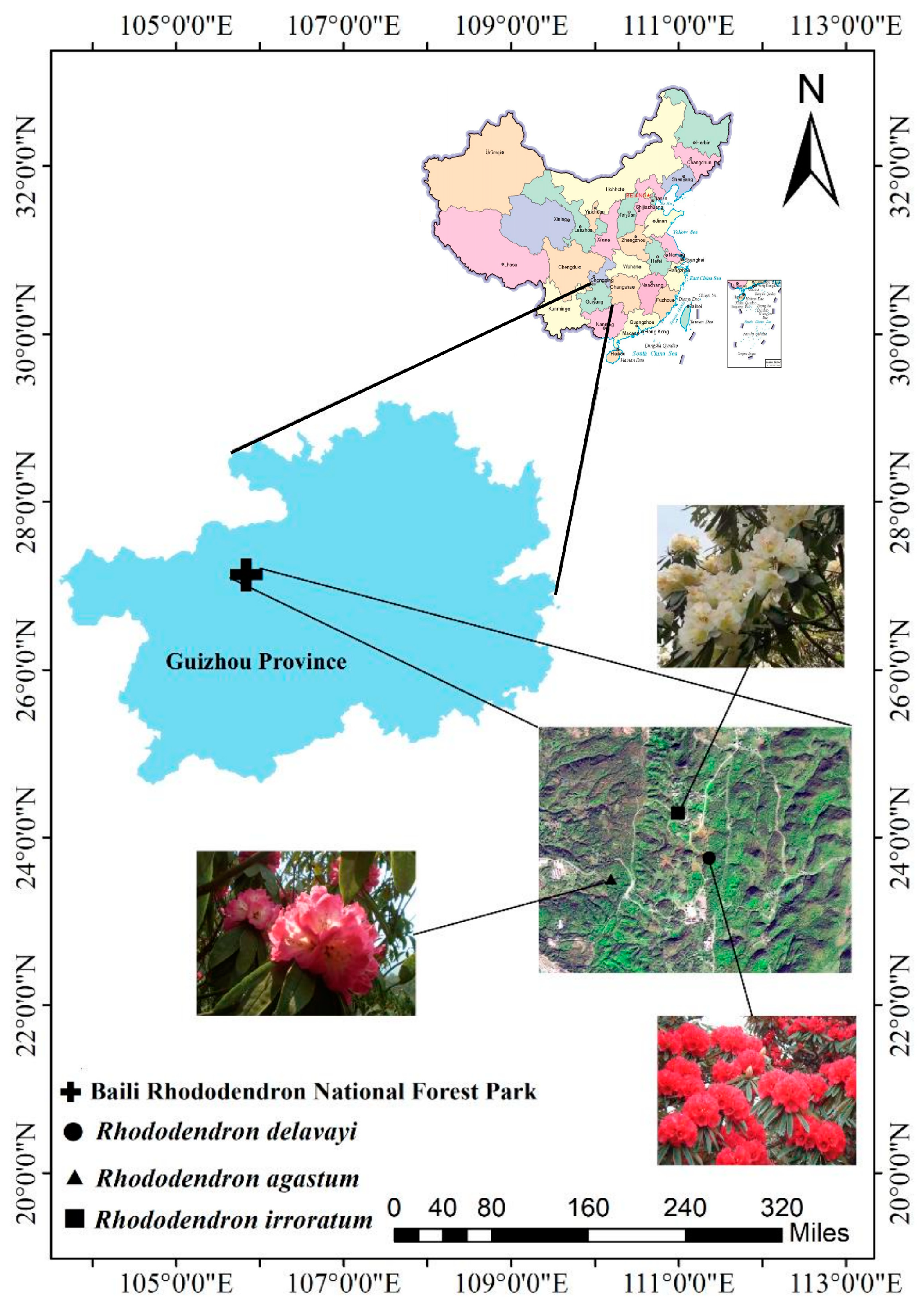 Metabolites 13 00119 g001