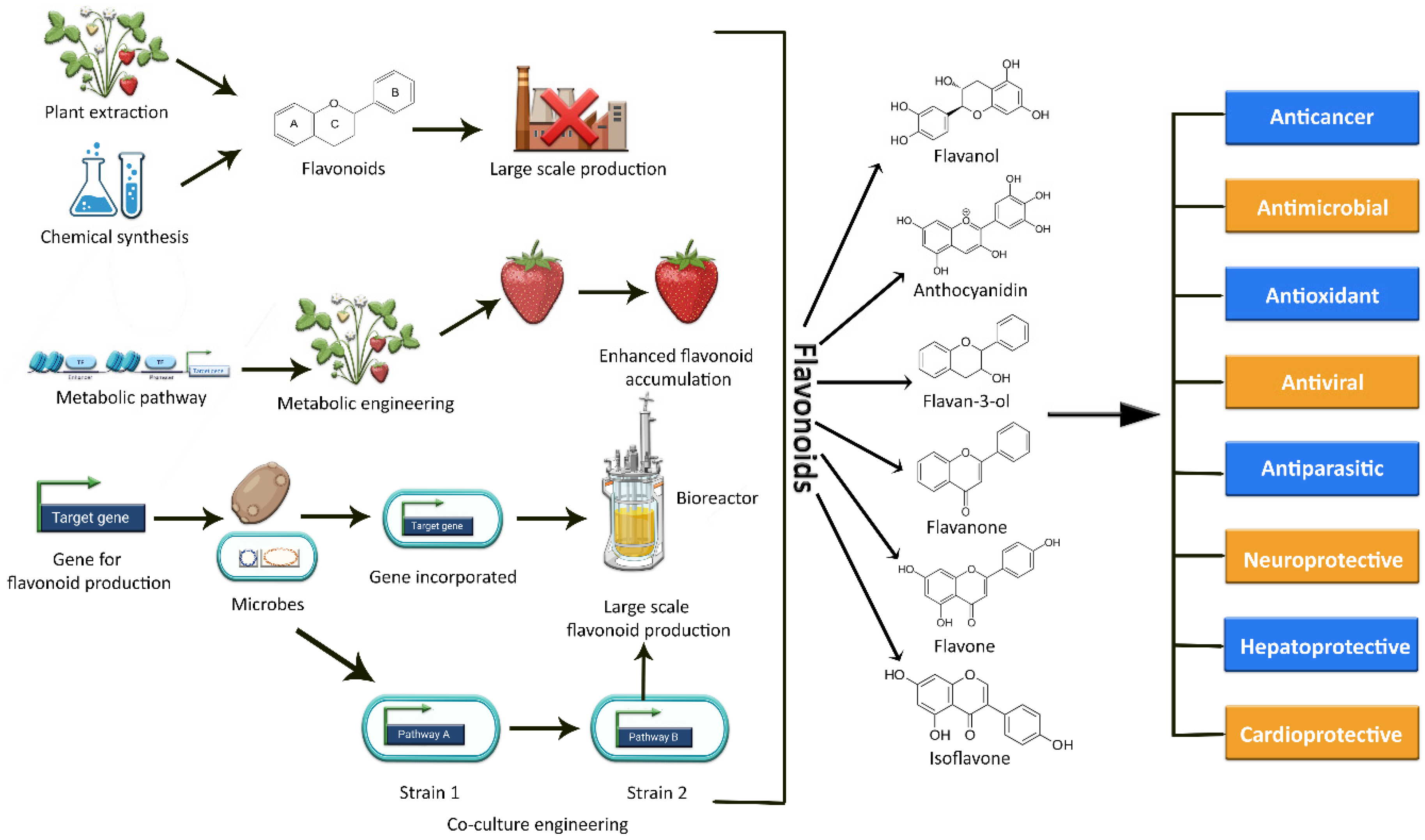 Metabolites 13 00124 g001