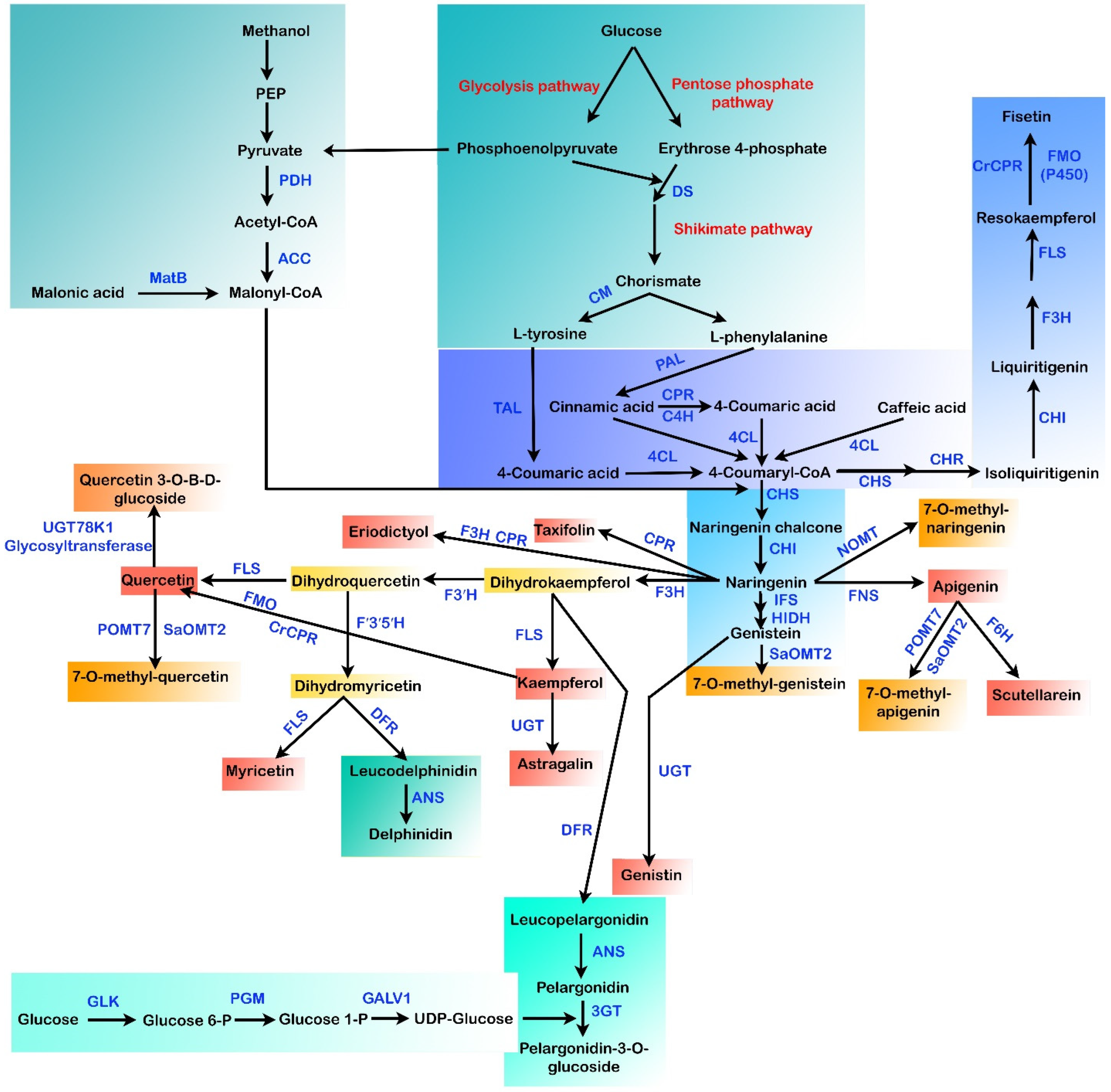 Metabolites 13 00124 g003