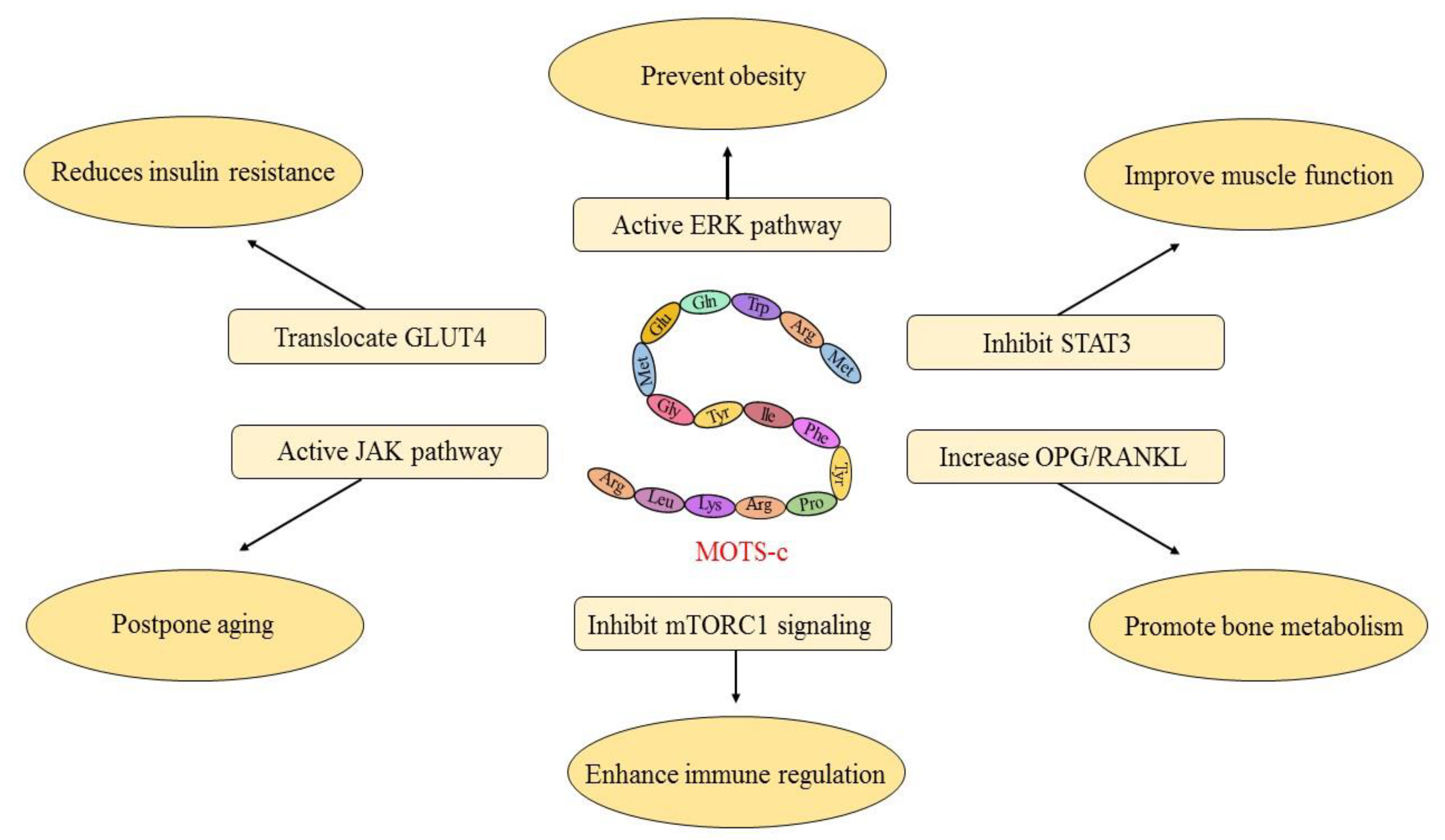 Metabolites 13 00125 g001