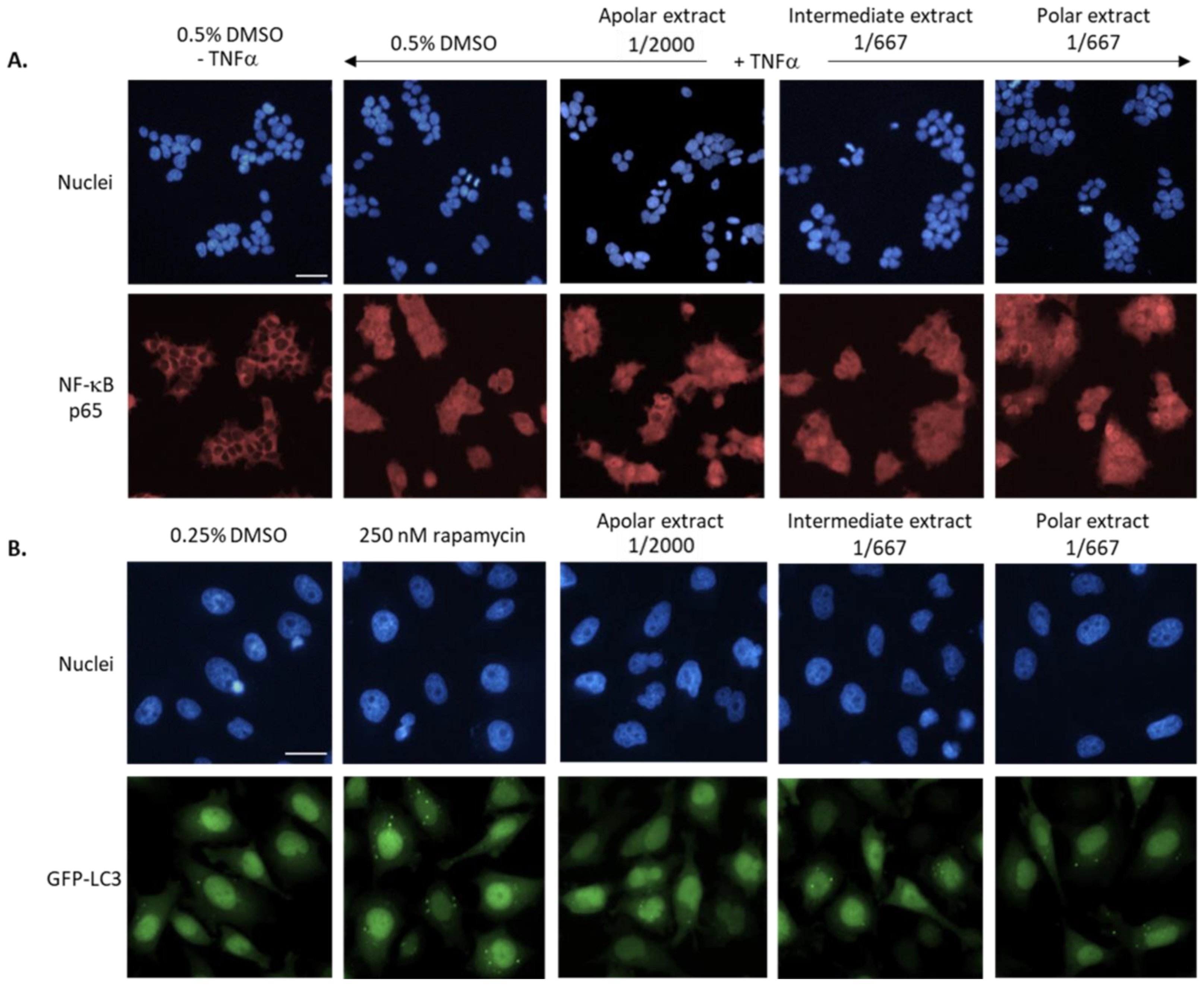 Metabolites 13 00128 g005
