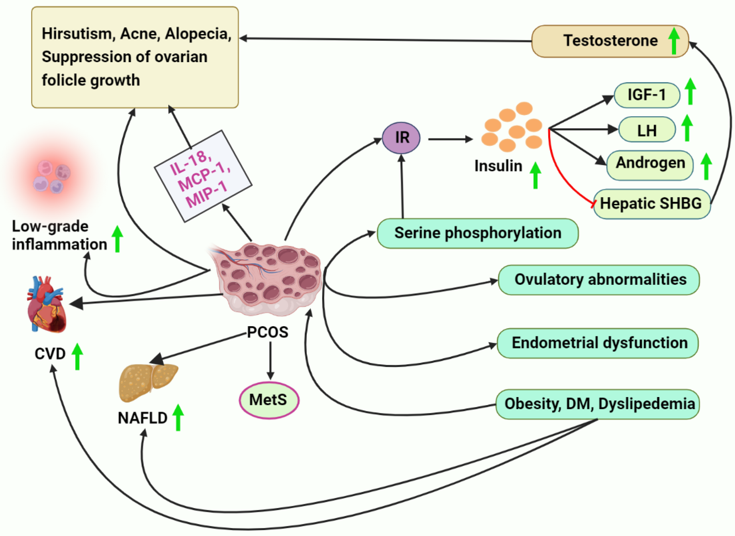 Metabolites 13 00129 g001