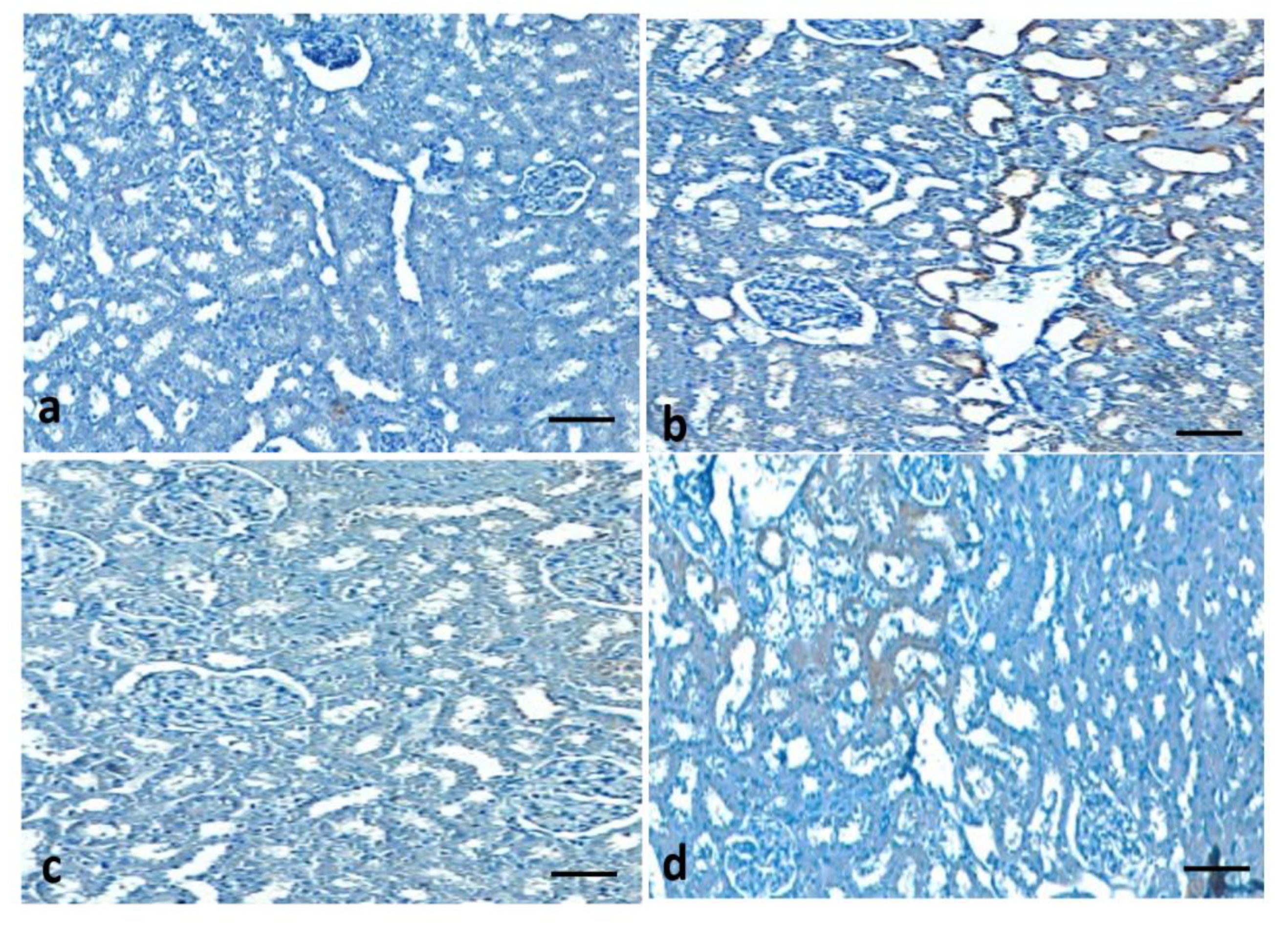 Metabolites 13 00130 g011 Metabolites 13 00130 g011