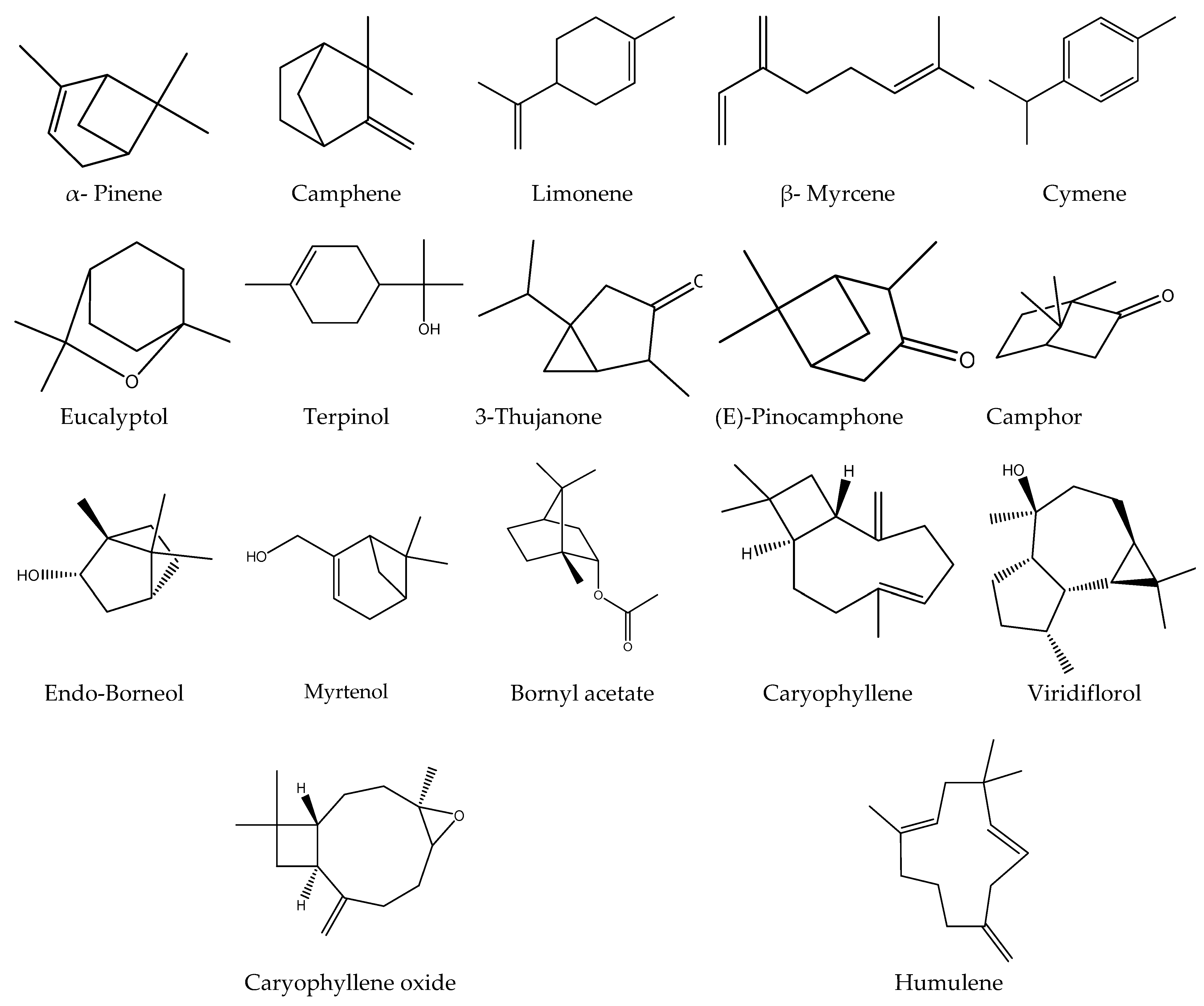 Metabolites 13 00136 g004