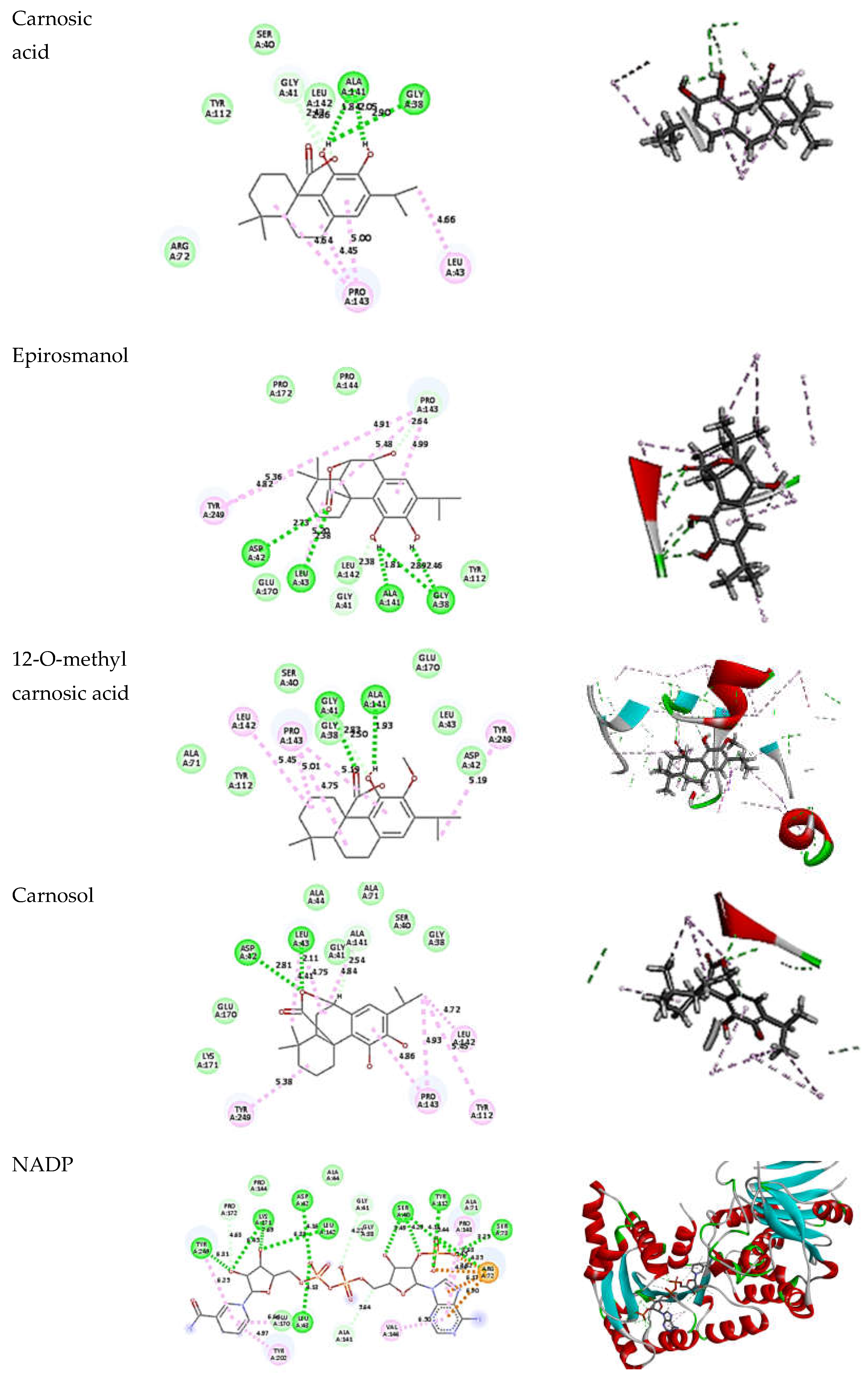 Metabolites 13 00136 g006b