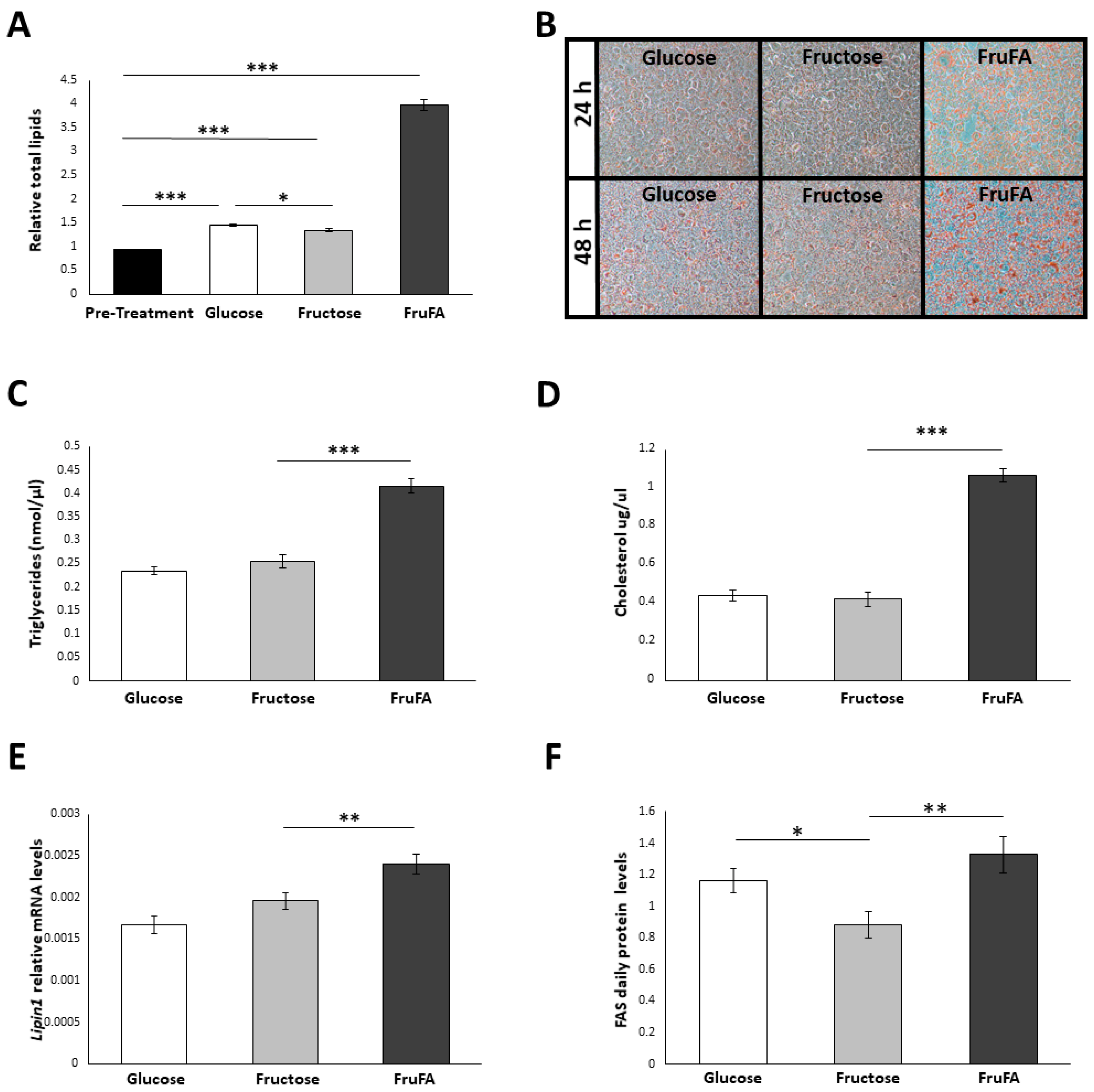 Metabolites 13 00138 g001