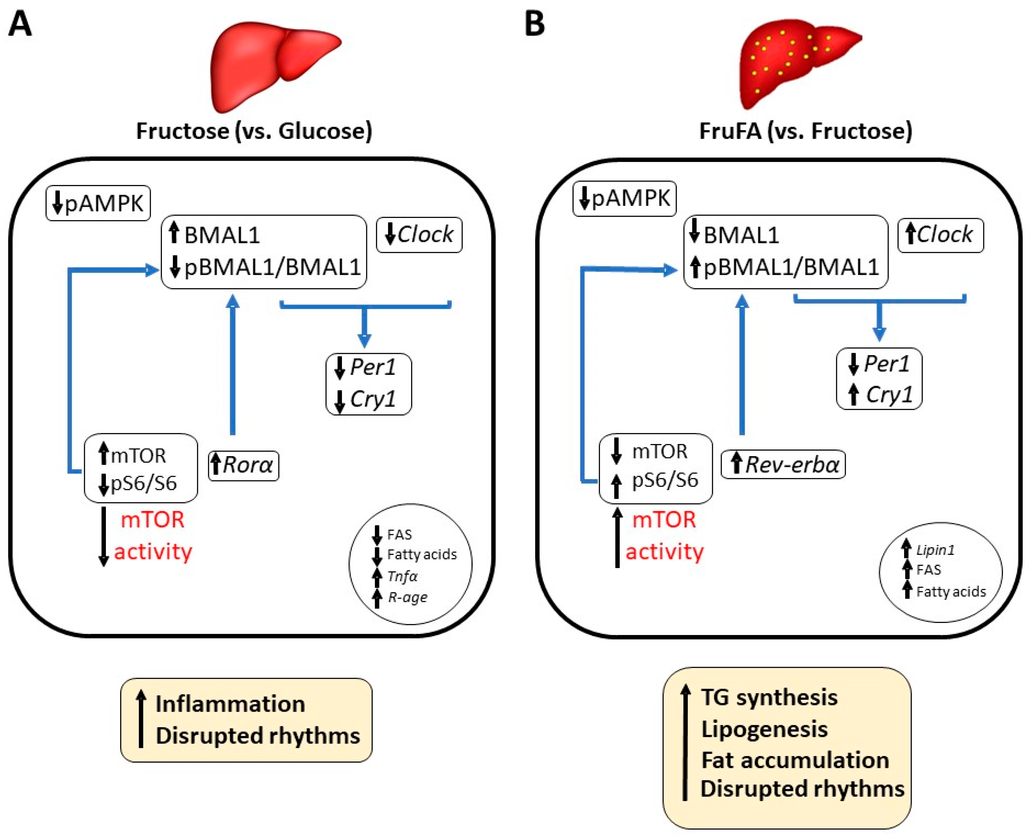 Metabolites 13 00138 g006