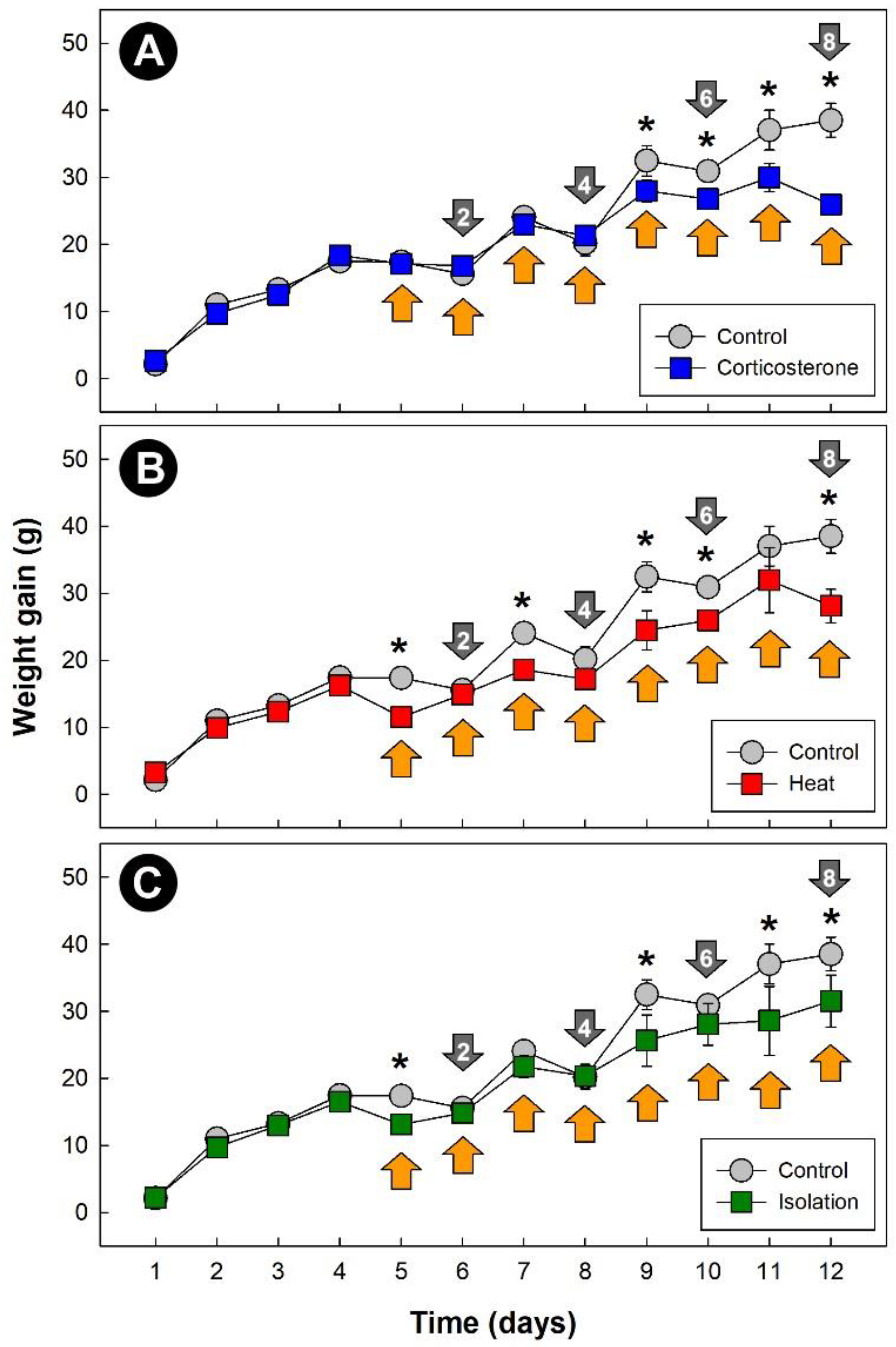 Metabolites 13 00144 g001