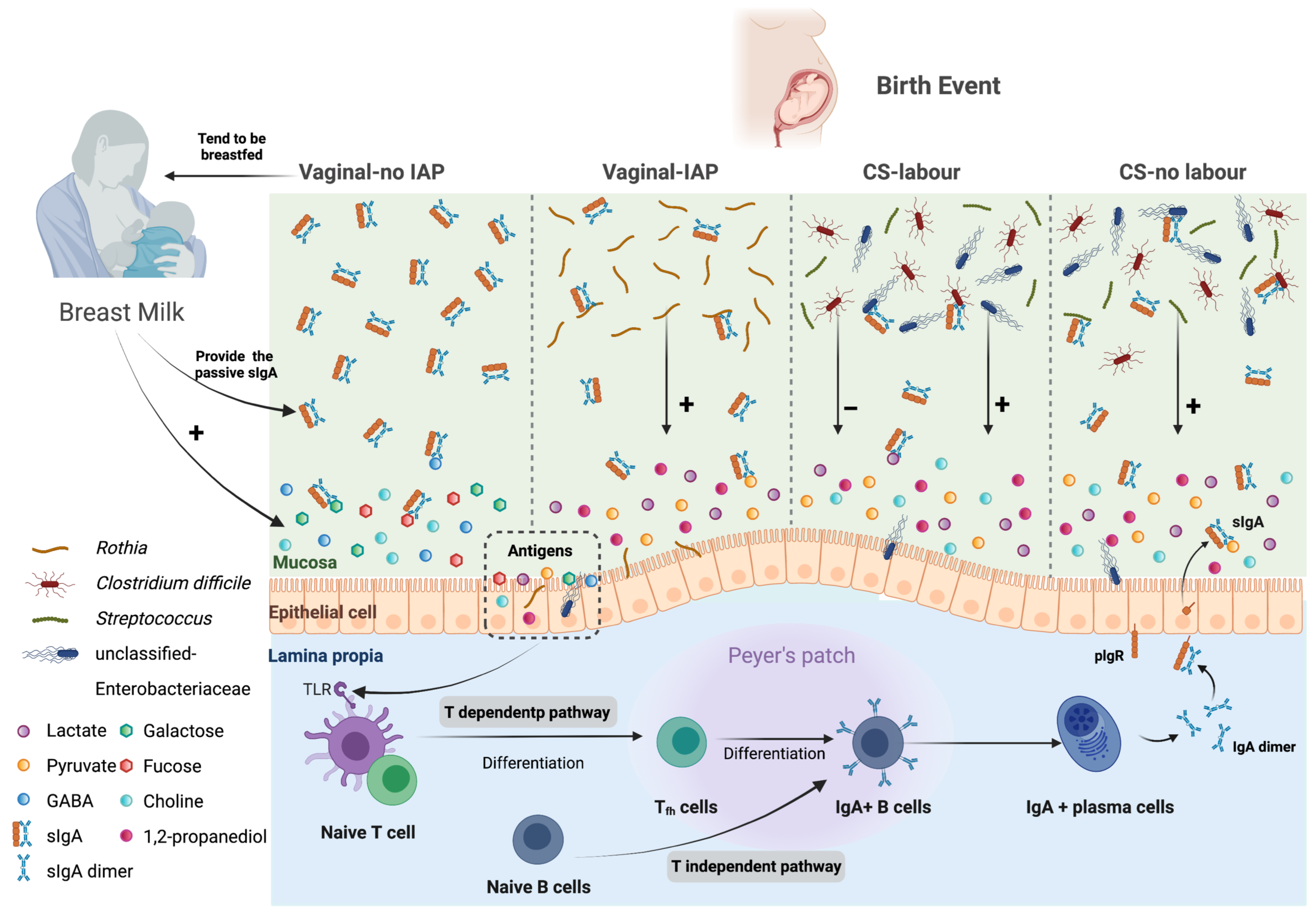 Metabolites 13 00148 g004 Metabolites 13 00148 g004