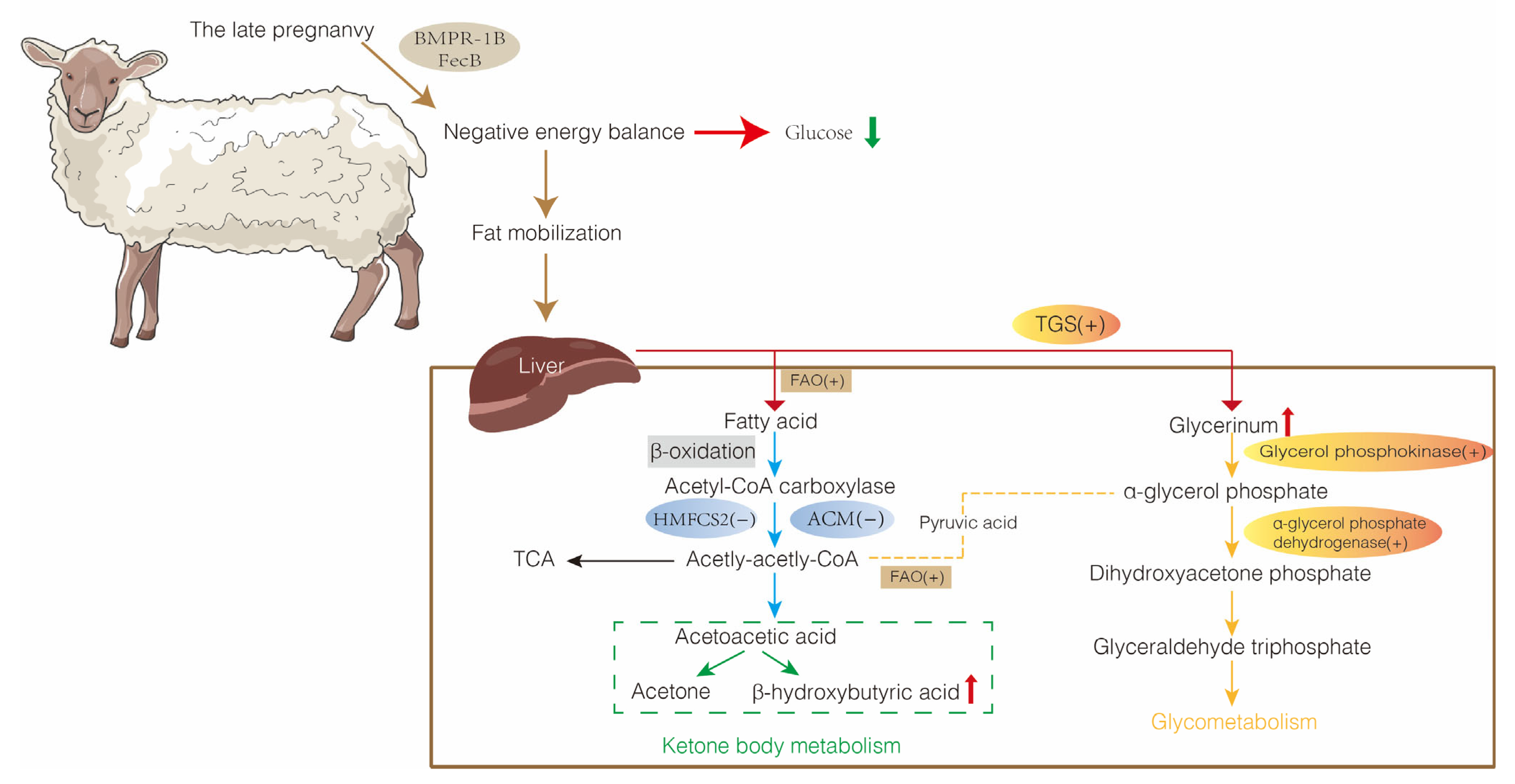 Metabolites 13 00149 g003