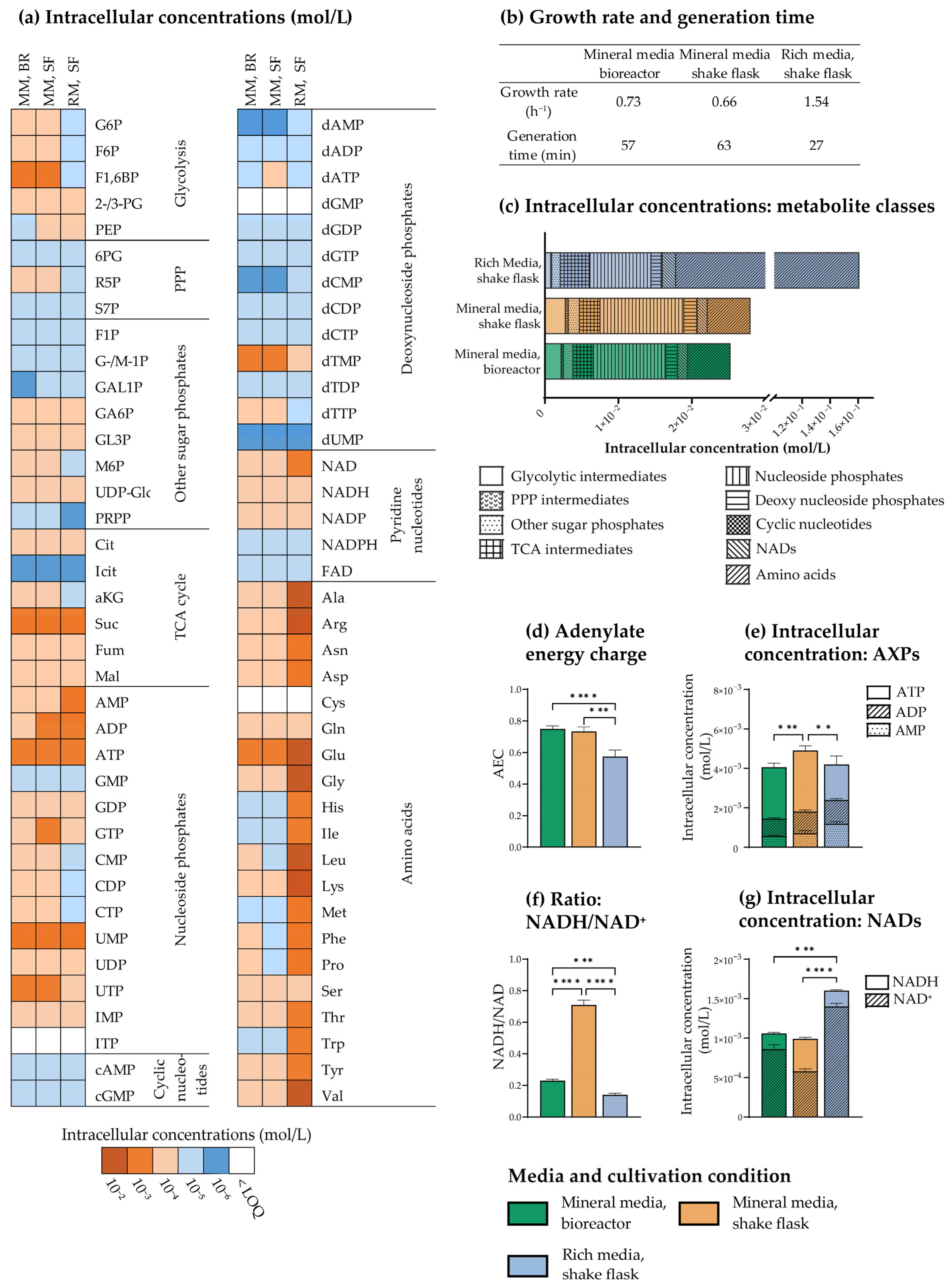Metabolites 13 00150 g006