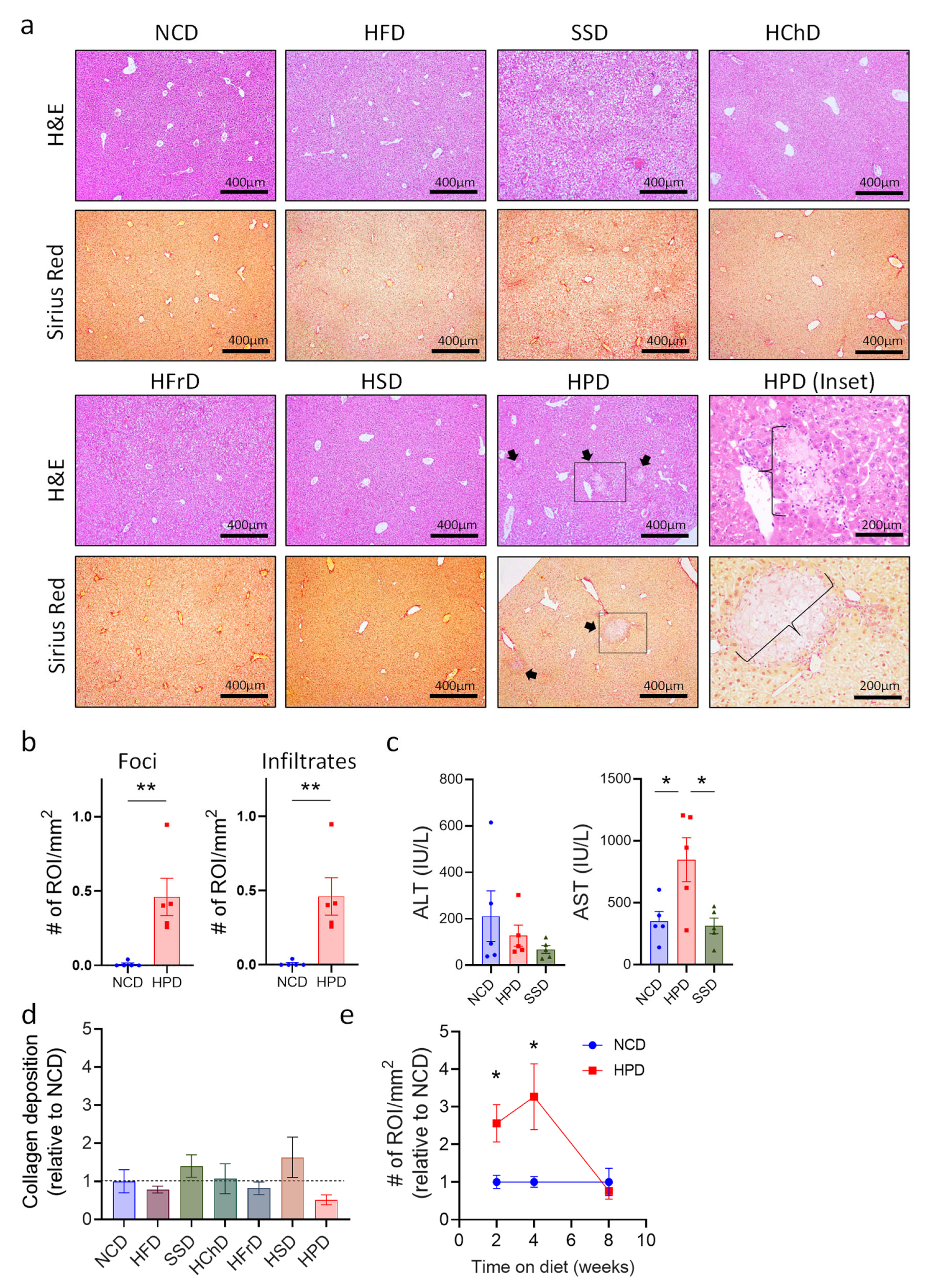 Metabolites 13 00153 g002 Metabolites 13 00153 g002