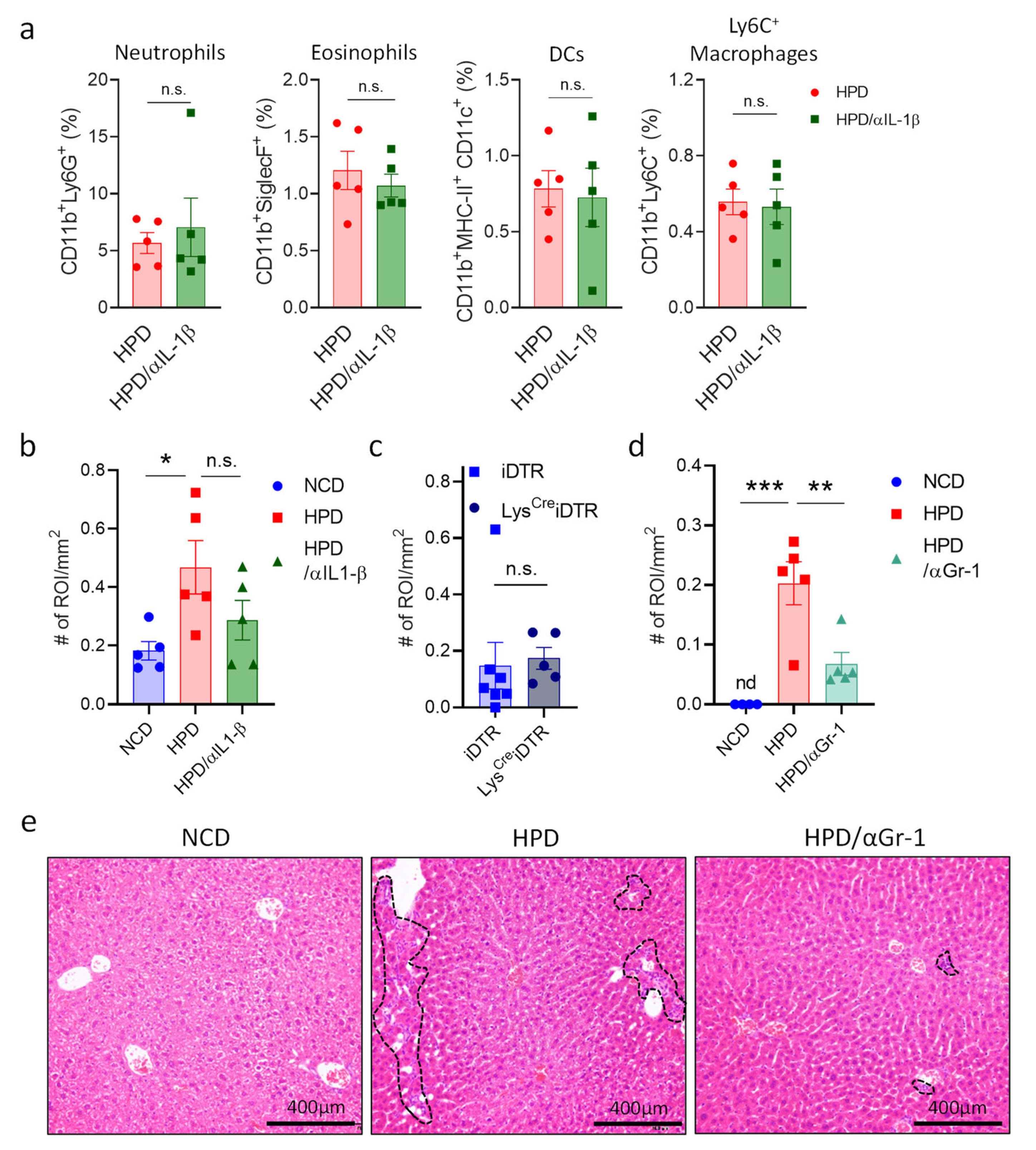 Metabolites 13 00153 g005 Metabolites 13 00153 g005