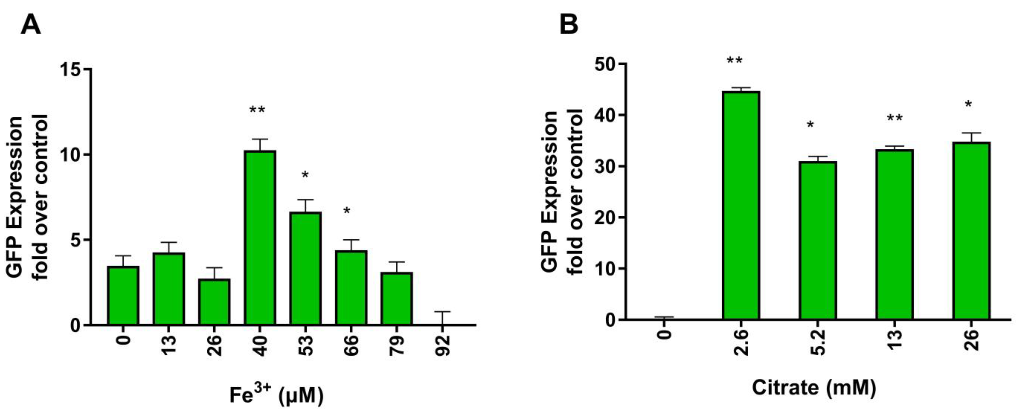 Metabolites 13 00154 g002