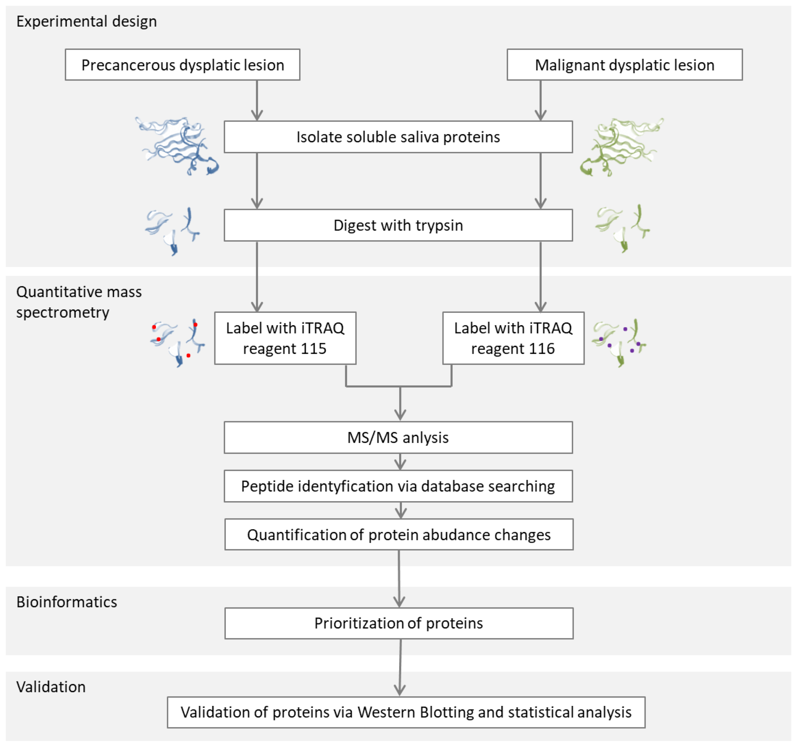 Metabolites 13 00155 g007