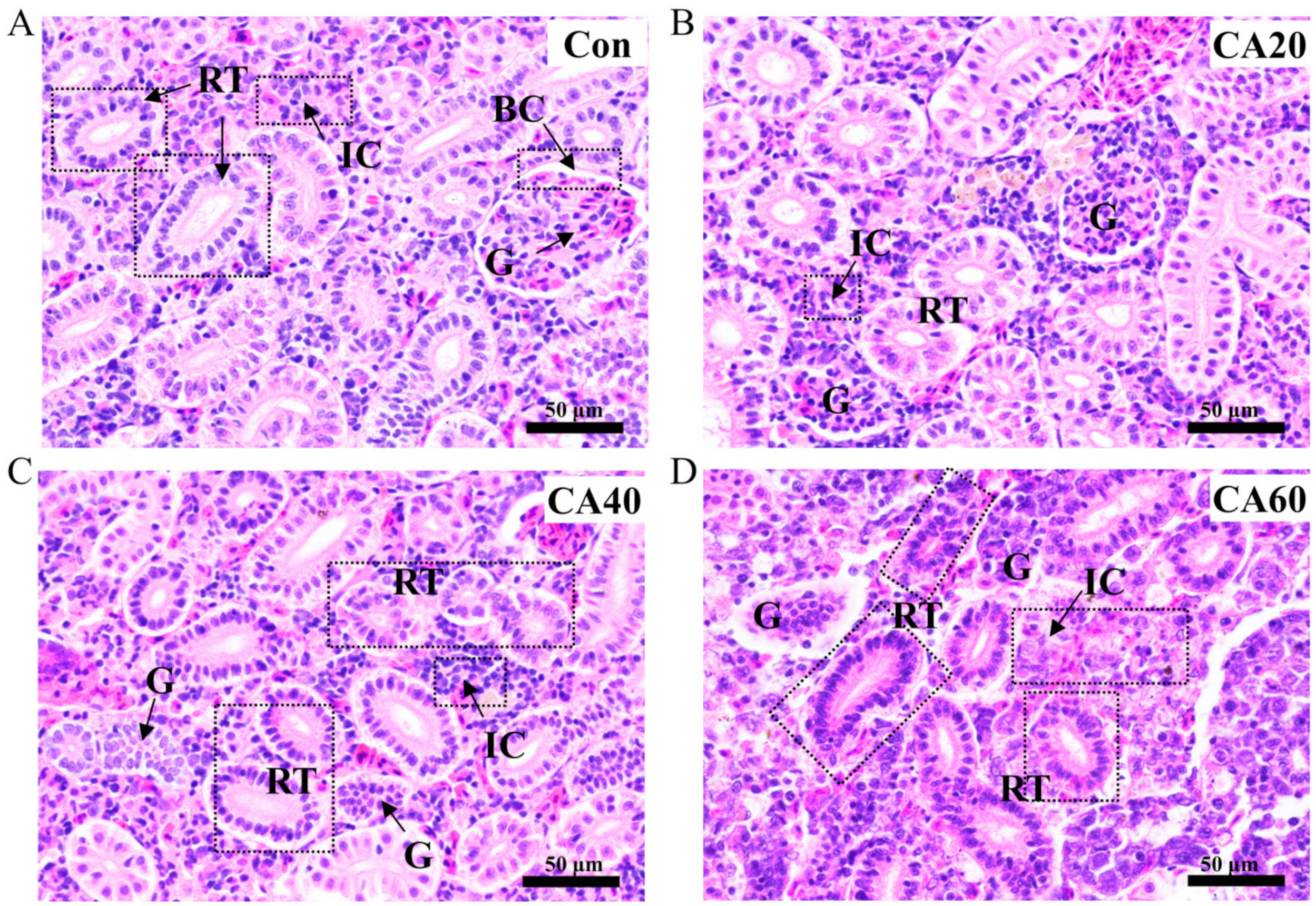 Metabolites 13 00159 g002