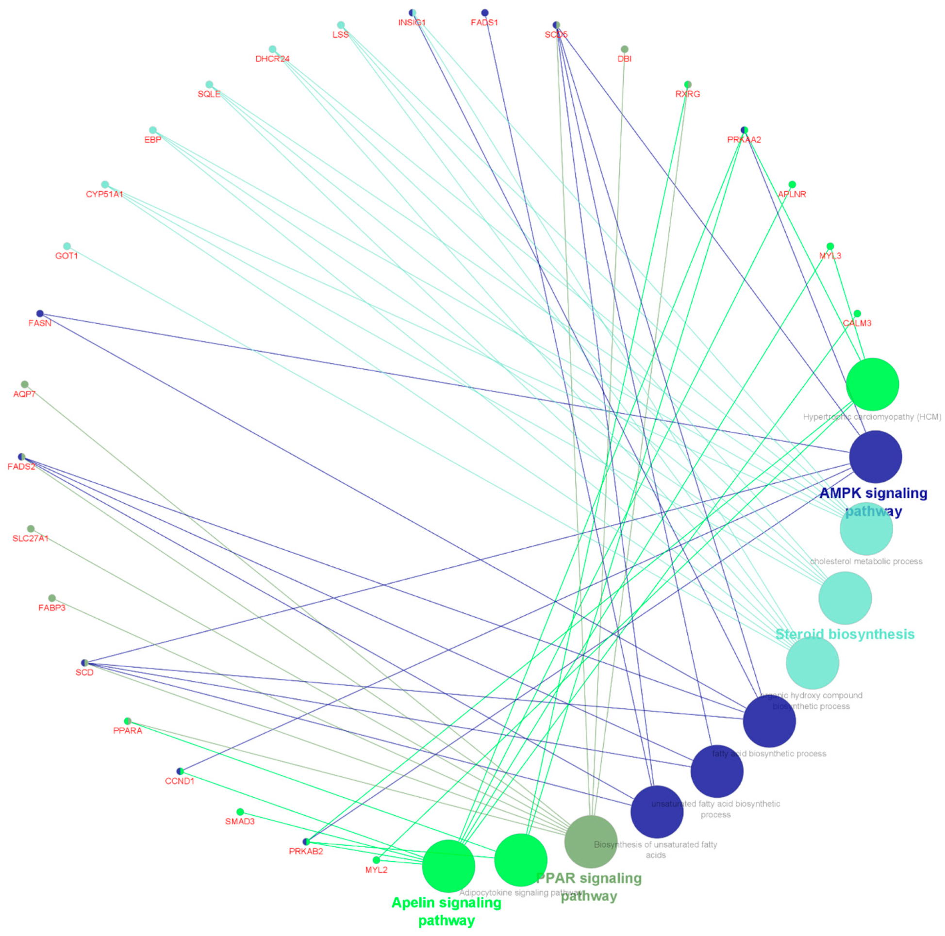 Metabolites 13 00160 g005